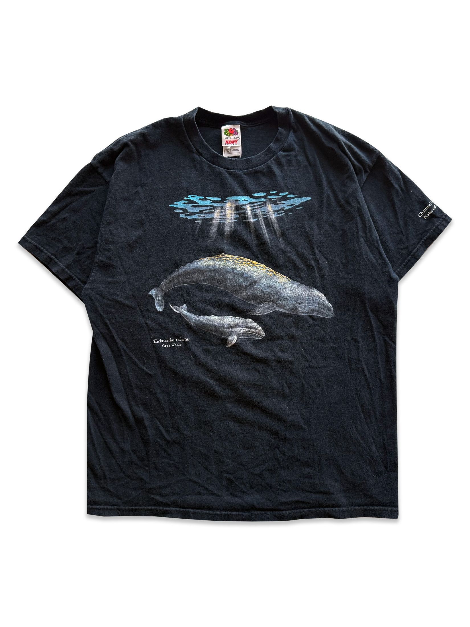 Vintage 2001 Vintage Y2K Grey Whale Nature Tee Size US XL / EU 56 / 4 - 1 Thumbnail