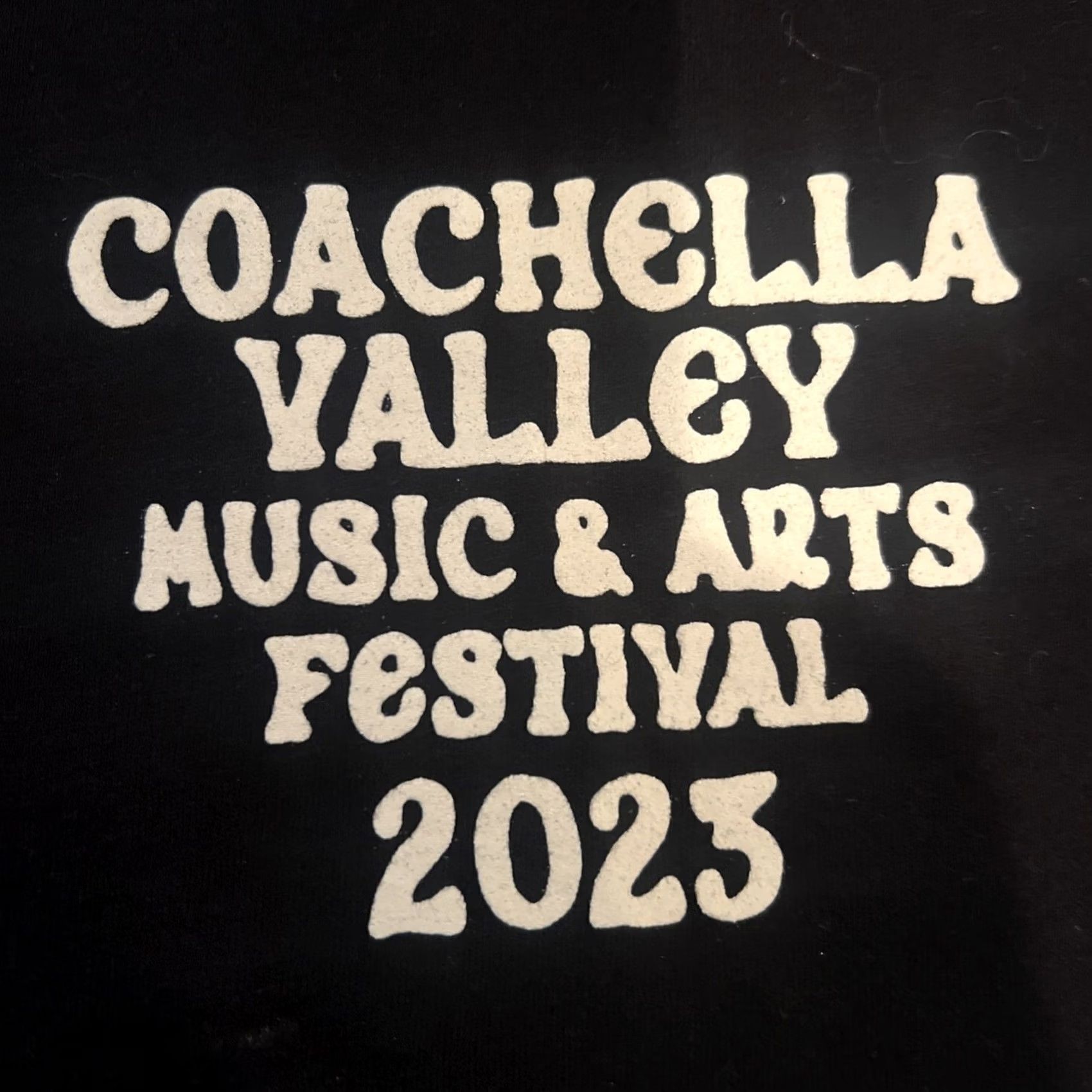 Vintage VINTAGE Coachella Shirt Unisex Adults Regular Black Cotton Graphic Print 2020-2029 90s Music Logo Tee Mens Womens L Size US L / EU 52-54 / 3 - 5 Thumbnail