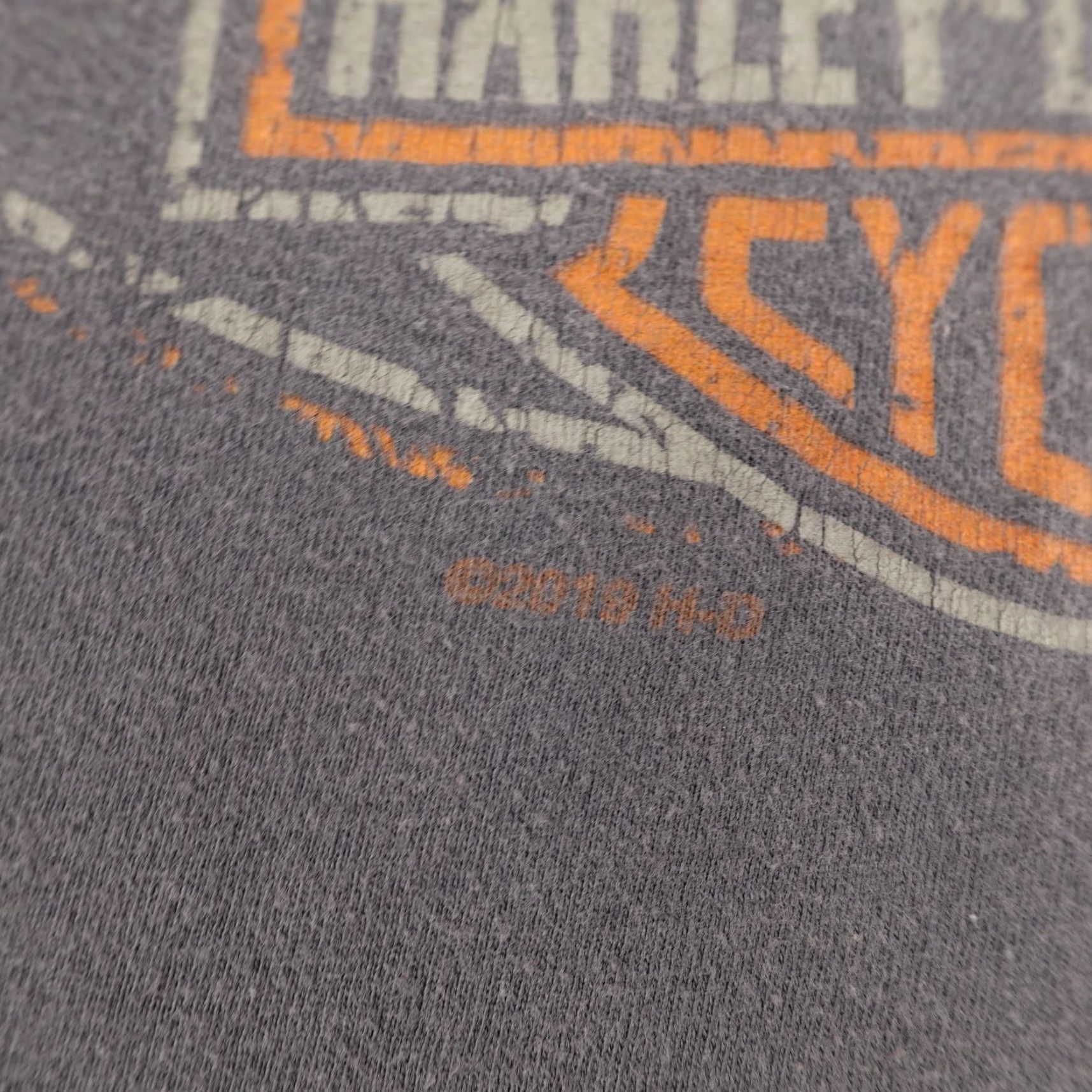 Harley Davidson Harley-Davidson Shirt Mens 2XL Gray Boise Idaho Motorcycles Biker High Desert Graphic Print Crew Neck Short Sleeve T-Shirt Size US XXL / EU 58 / 5 - 3 Thumbnail