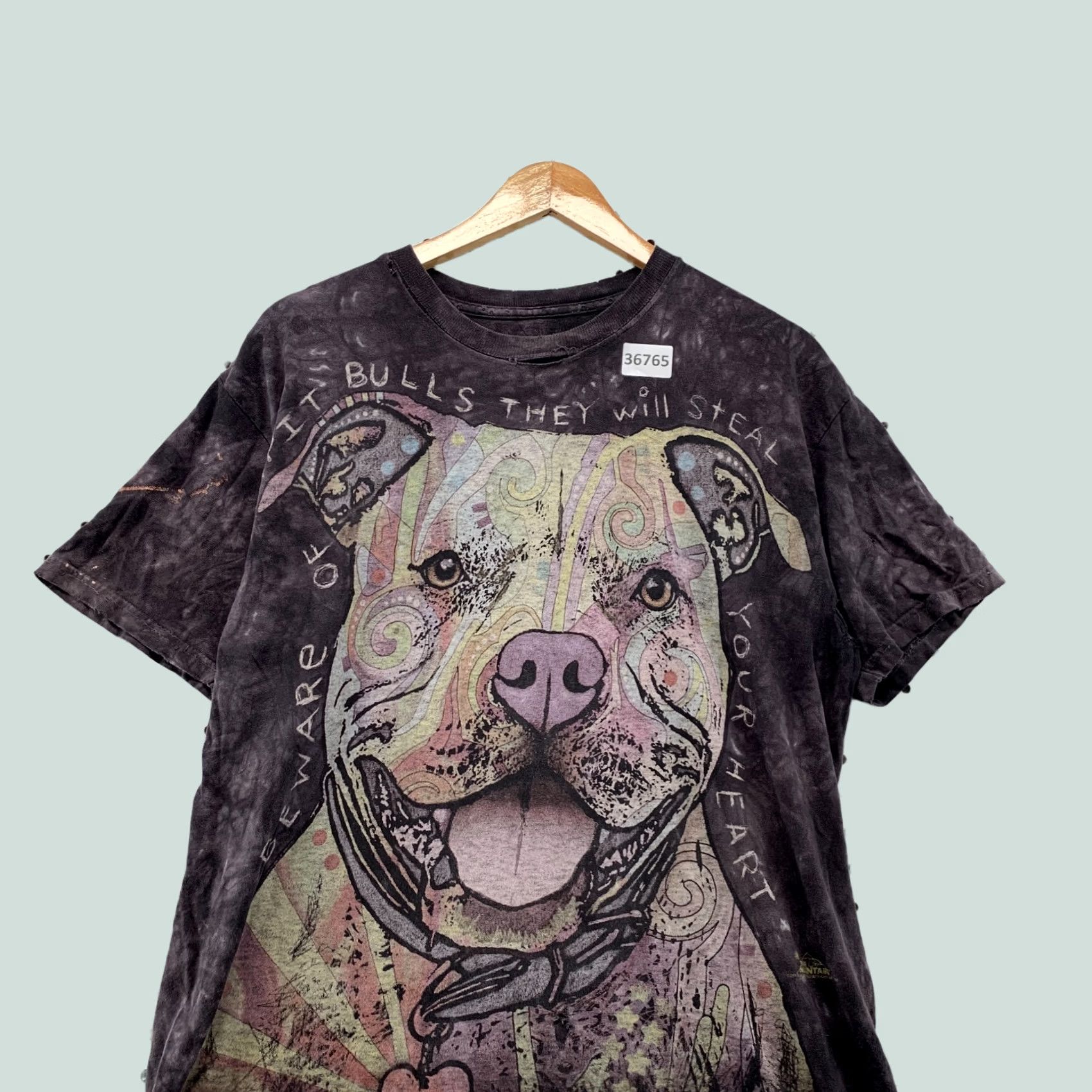 The Mountain VINTAGE The Mountain Pitbull Shirt Mens M Gray Grunge 20x29 Acid Wash Distressed Holes Shirt Mens Size US M / EU 48-50 / 2 - 1 Thumbnail