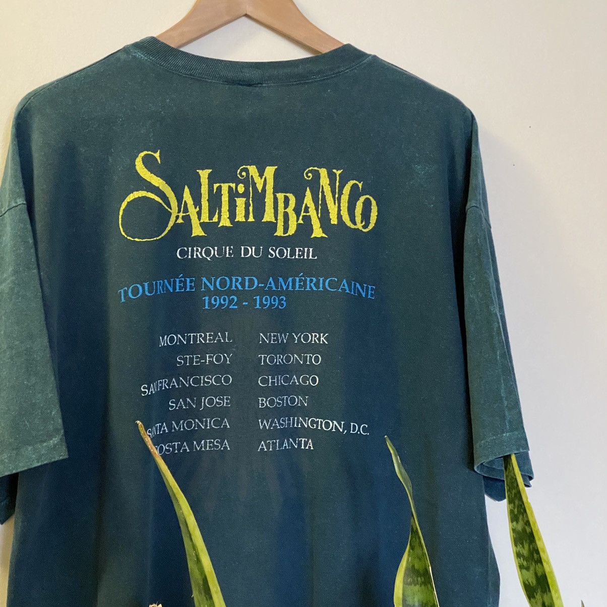 Vintage Vintage 1993 Cirque De Soleil Single Stitch Tour T Shirt