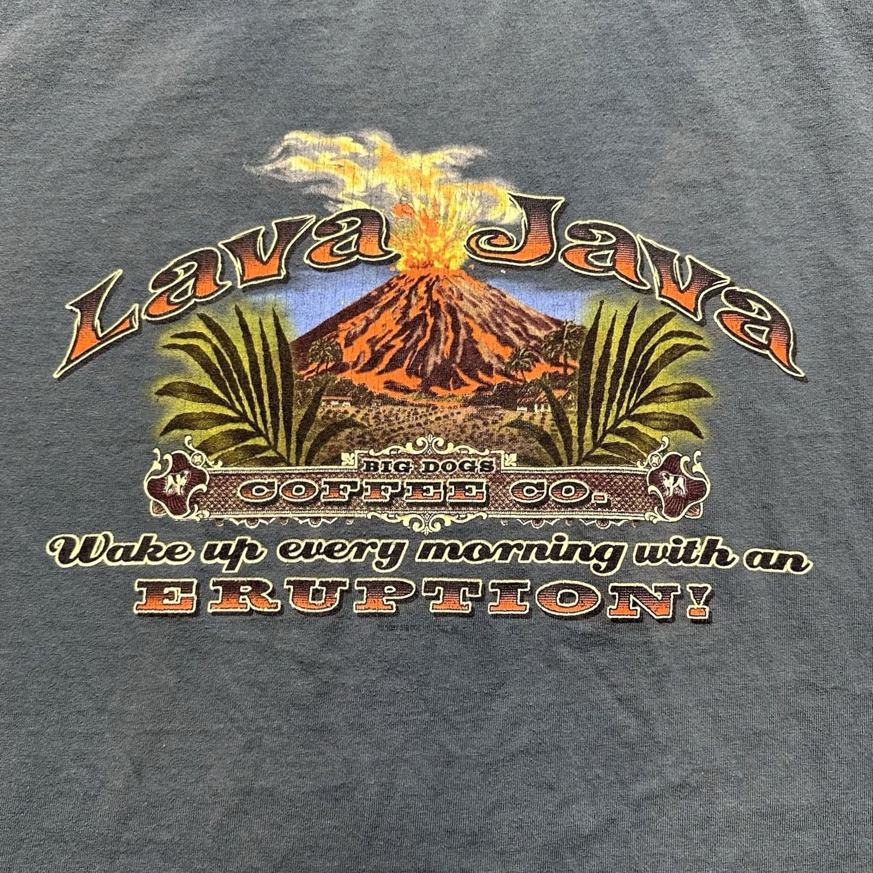 Big Dogs Big Dogs Shirt Mens 2XL Green Casual Lava Java Coffee Co Eruption FUC Size US XXL / EU 58 / 5 - 2 Thumbnail