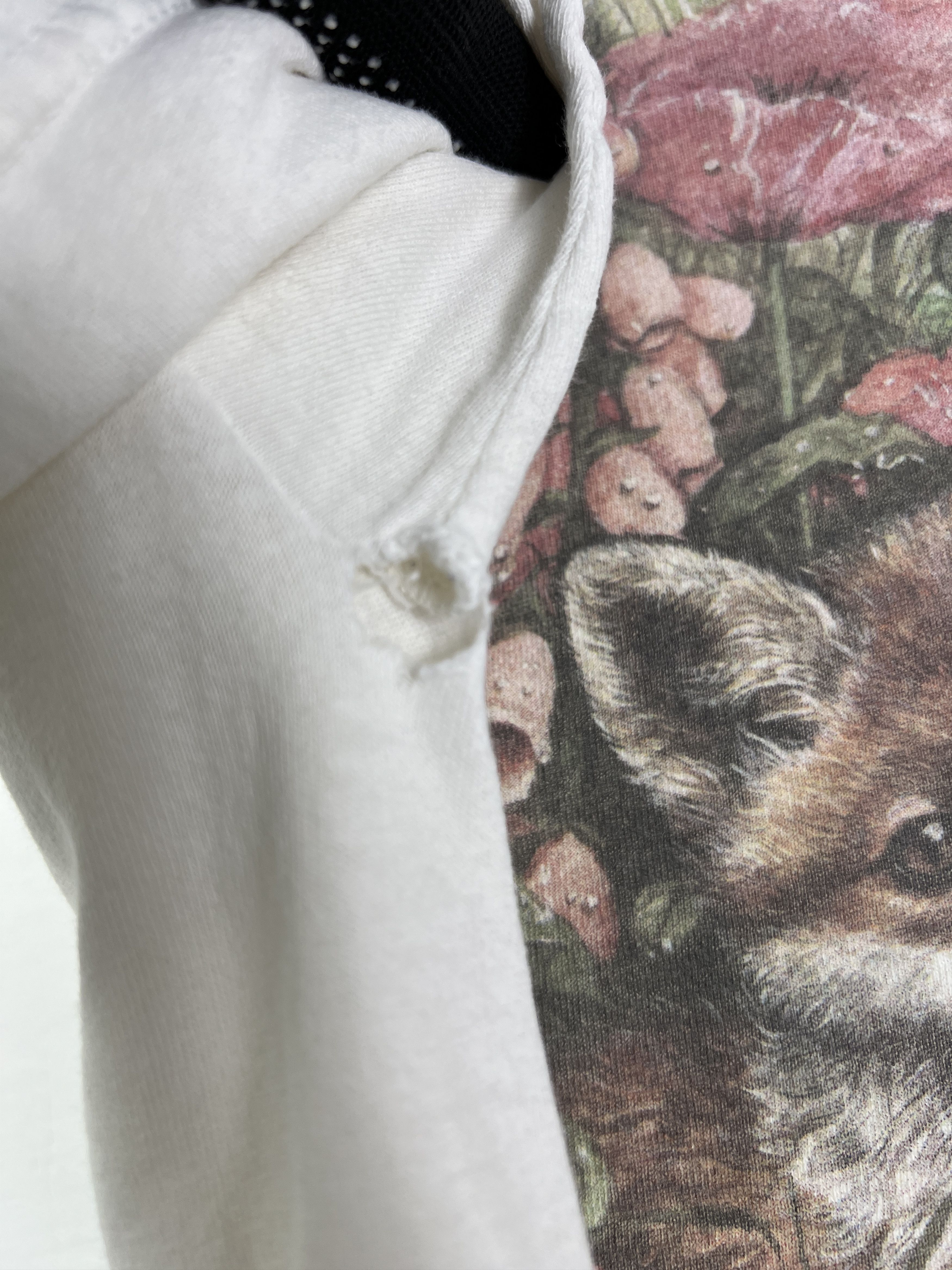 Vintage No.4946 Vintage Wildlife Land Trust Promo Graphic Tee Size US L / EU 52-54 / 3 - 6 Thumbnail