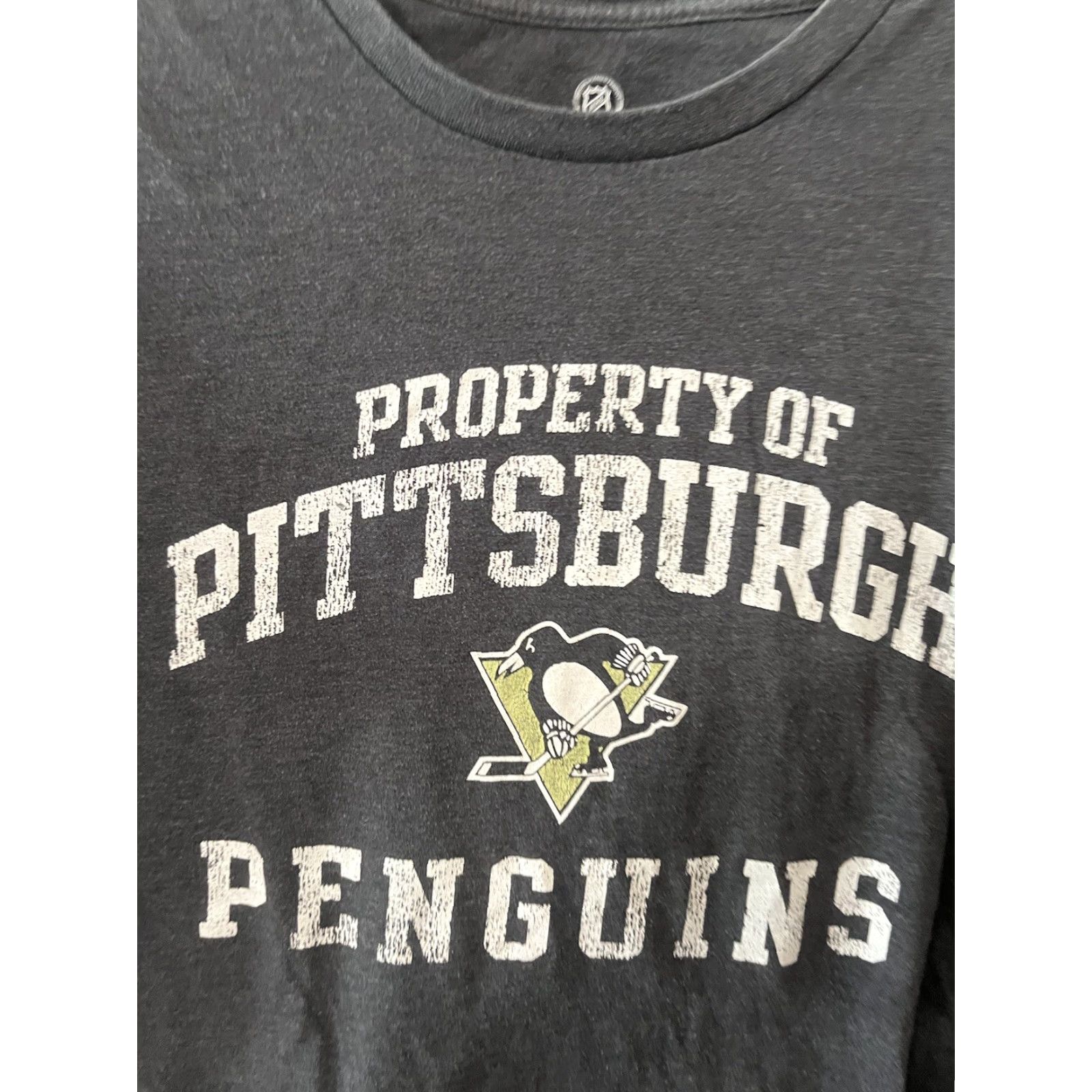 NHL NHL Pittsburgh Penguins T-Shirt Mens M Gray Short Sleeve Crew Neck Graphic Print Logo Sports Hockey Shirt Reguler Men Size US M / EU 48-50 / 2 - 2 Thumbnail