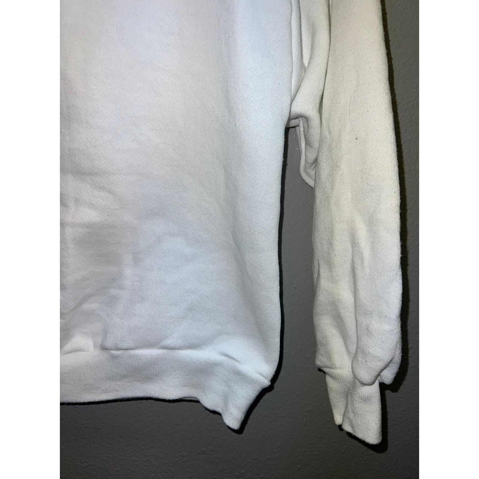 Jerzees Vintage Oregon Coast Sweatshirt Crewneck Whale 80s Stained M Size US M / EU 48-50 / 2 - 4 Thumbnail