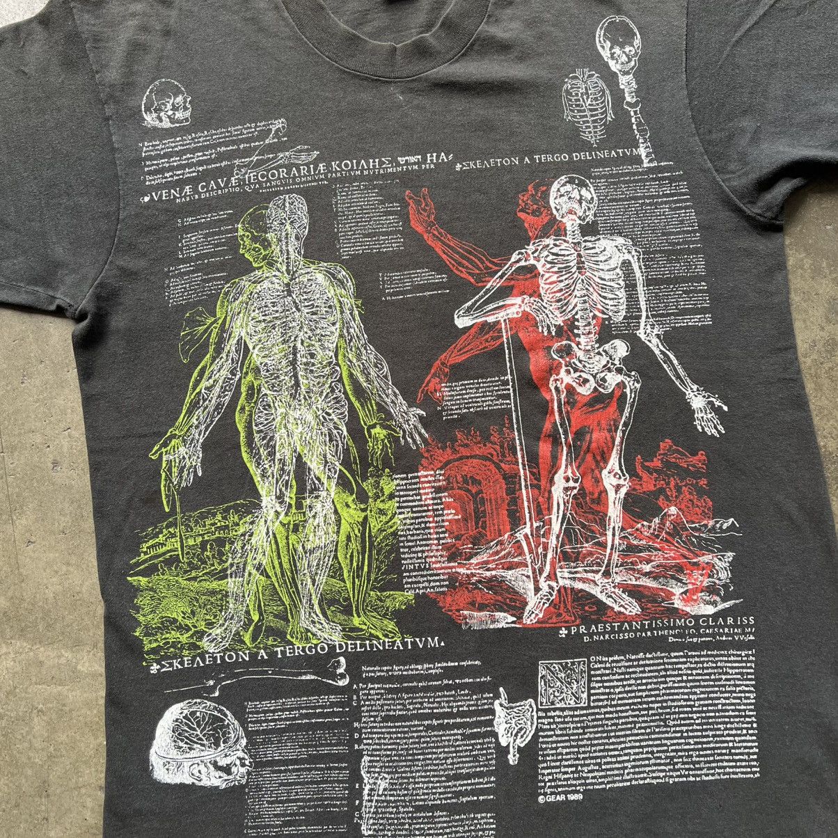 Fruit Of The Loom VTG ‘90s Andreas Vesalius Man Anatomy Art Tee Shirt Size US L / EU 52-54 / 3 - 3 Thumbnail