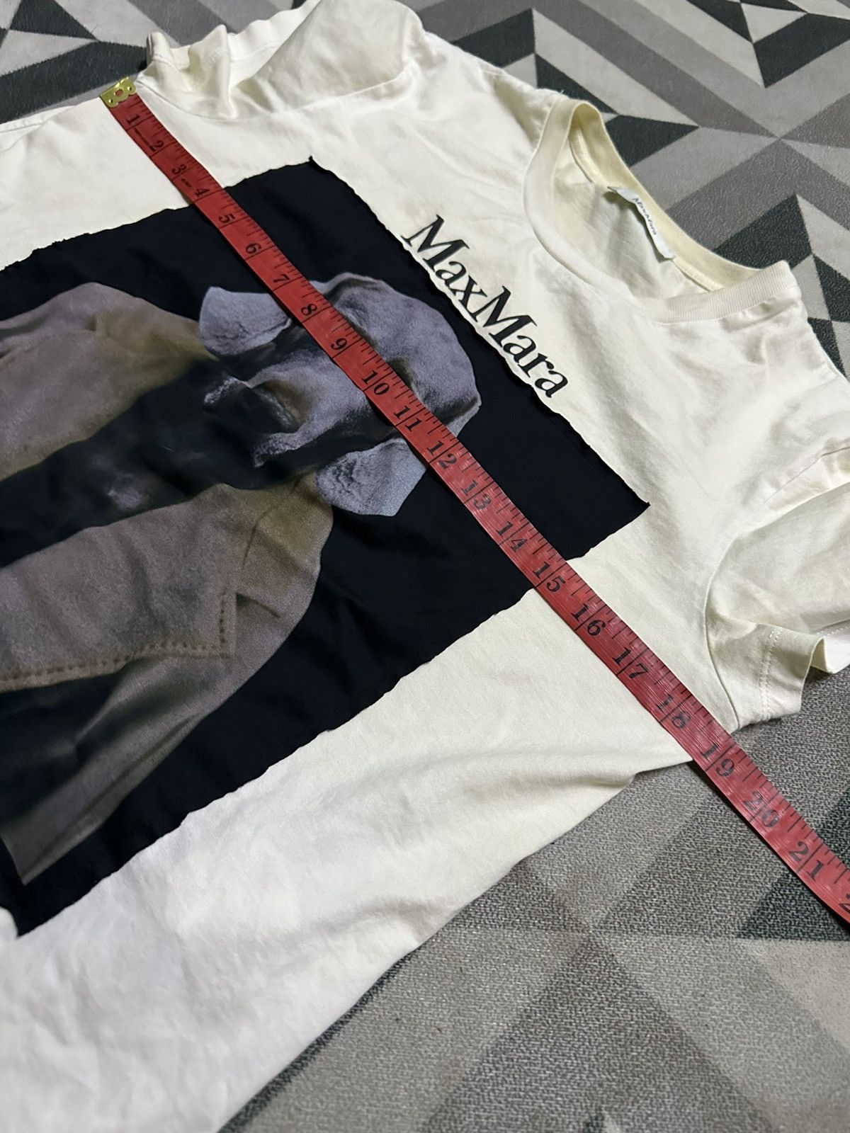 Max Mara Max Mara 2022 Omotesando Limited William Wegman Dog Photo Size M / US 6-8 / IT 42-44 - 9 Thumbnail