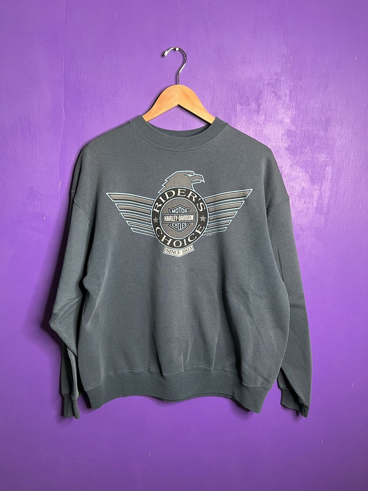 Vintage 1995 Harley Davidson riders choice sweatshirt