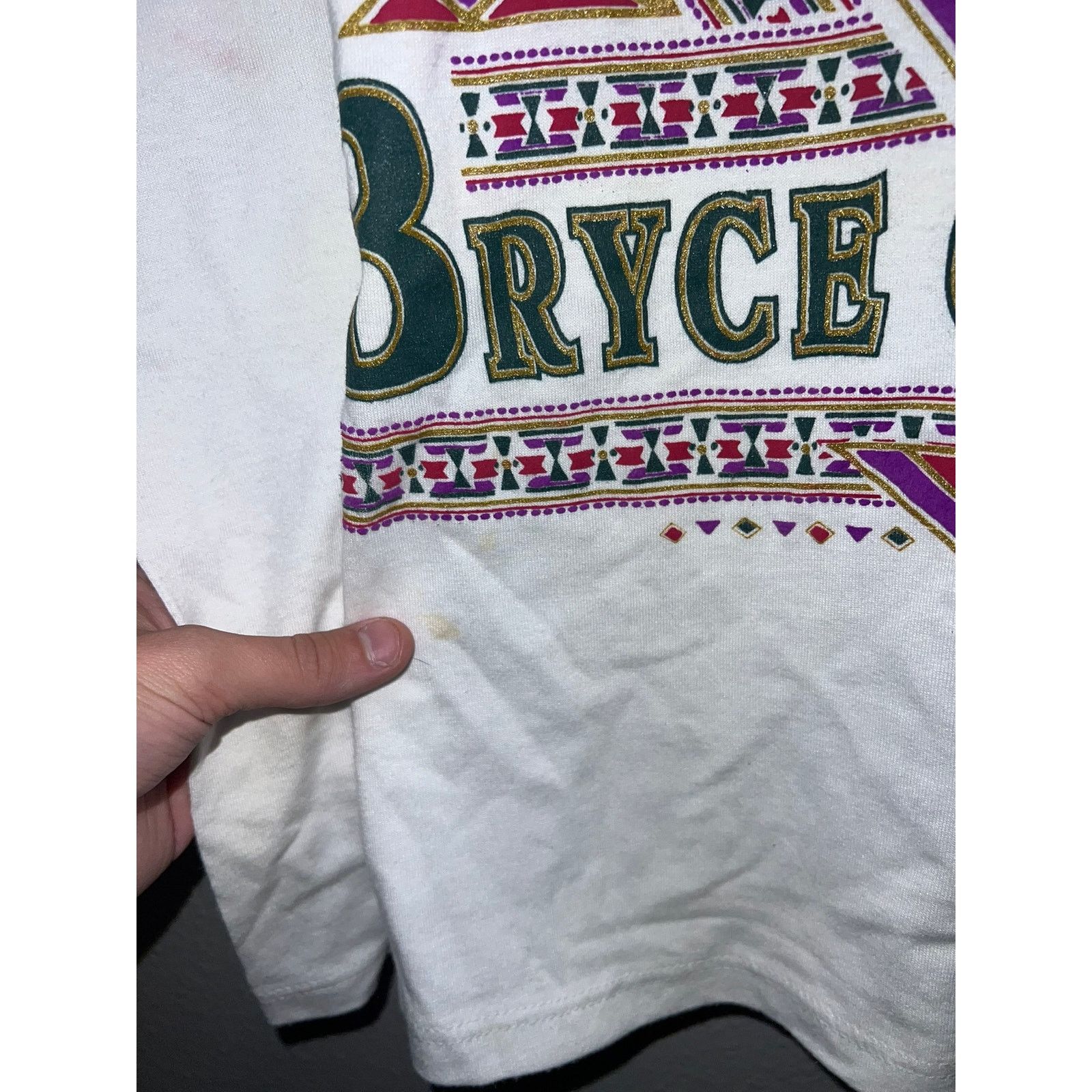 Jerzees Vintage Bryce Canyon Shirt Test Print Stained Paint 90s L Size US L / EU 52-54 / 3 - 6 Thumbnail