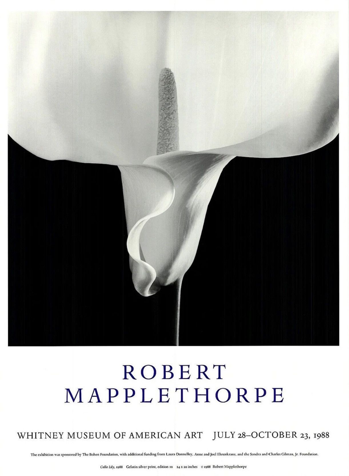Chrome Hearts (2005) CH x Robert Mapplethorpe "Calla Lily" XL Pendant Size ONE SIZE - 24 Thumbnail