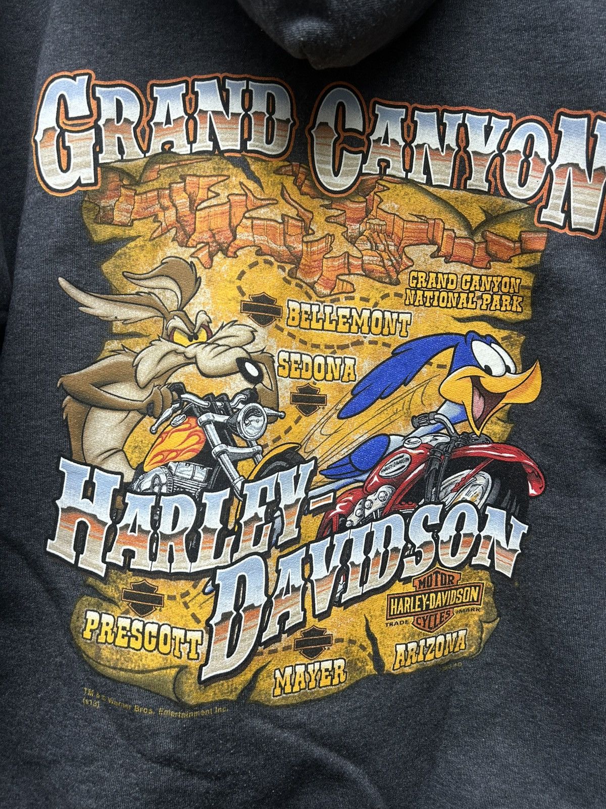 Harley Davidson Harley Davidson Road Runner Grand Canyon Zip Up Hoodie Size US XL / EU 56 / 4 - 5 Thumbnail