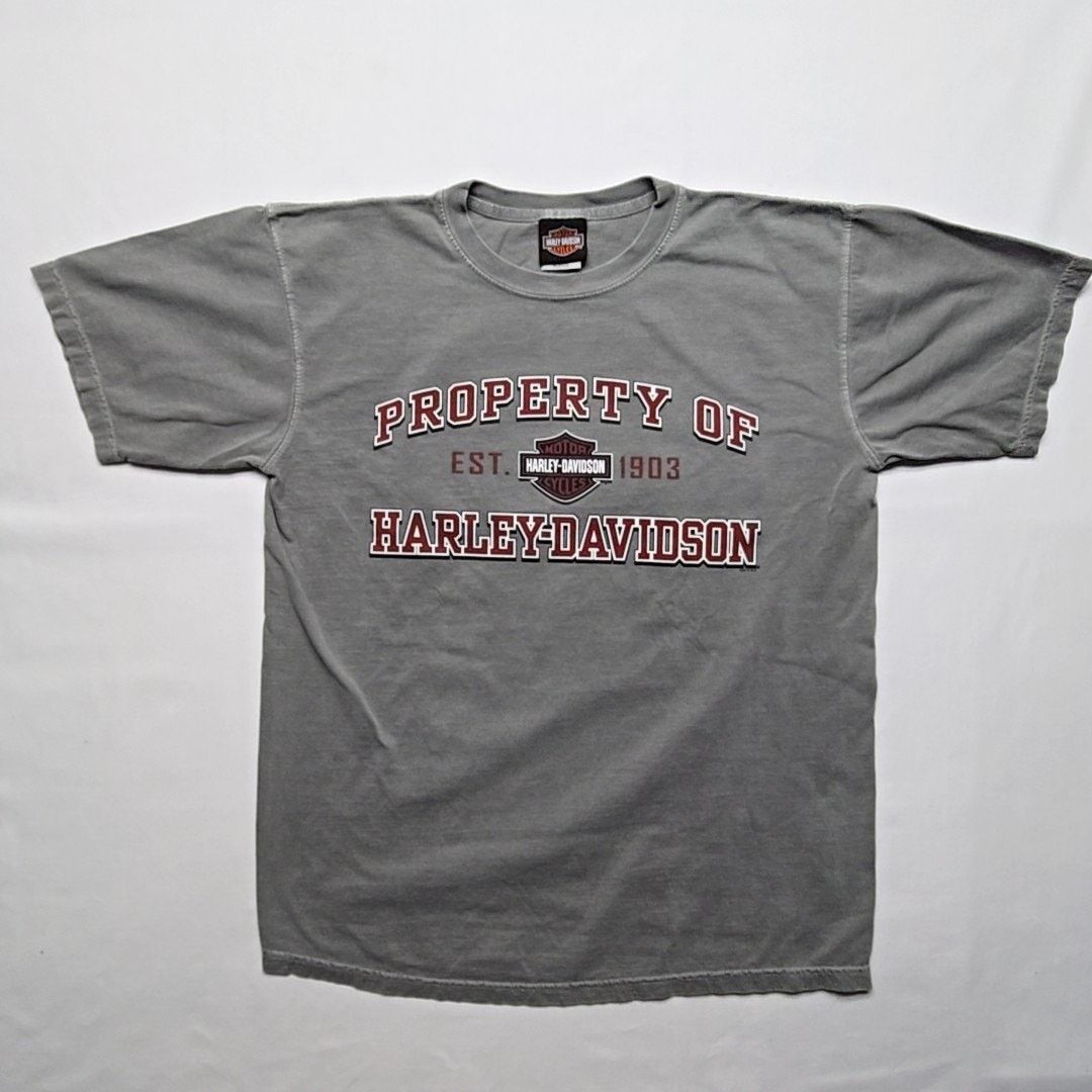Harley Davidson Harley Davidson Route 66 Tee Thunderbird Albuquerque M Y2K Size US M / EU 48-50 / 2 - 5 Thumbnail