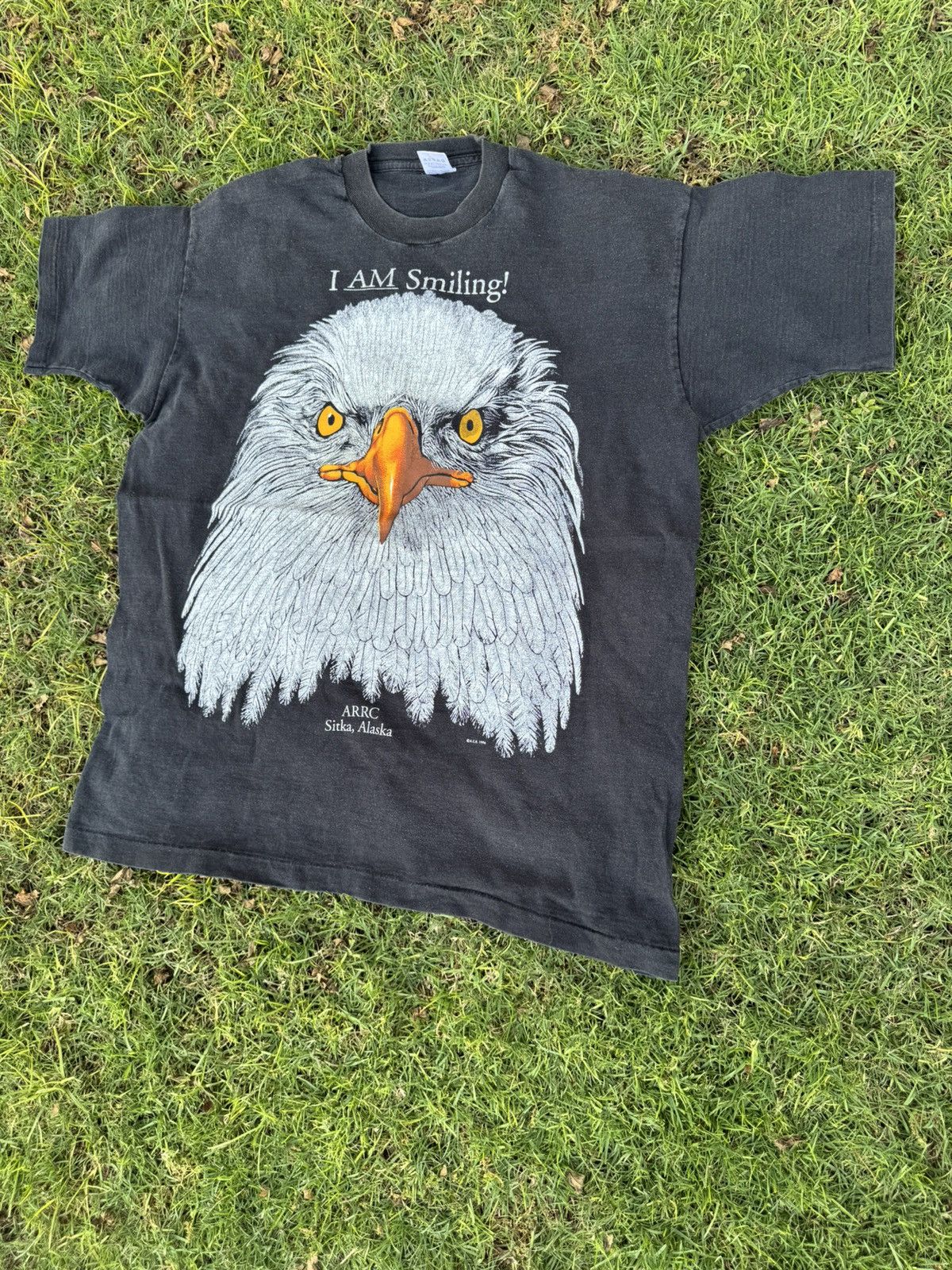 Vintage Vintage Bald Eagle T Shirt Sitka Alaska I AM SMILING 1996 Size US XL / EU 56 / 4 - 2 Thumbnail
