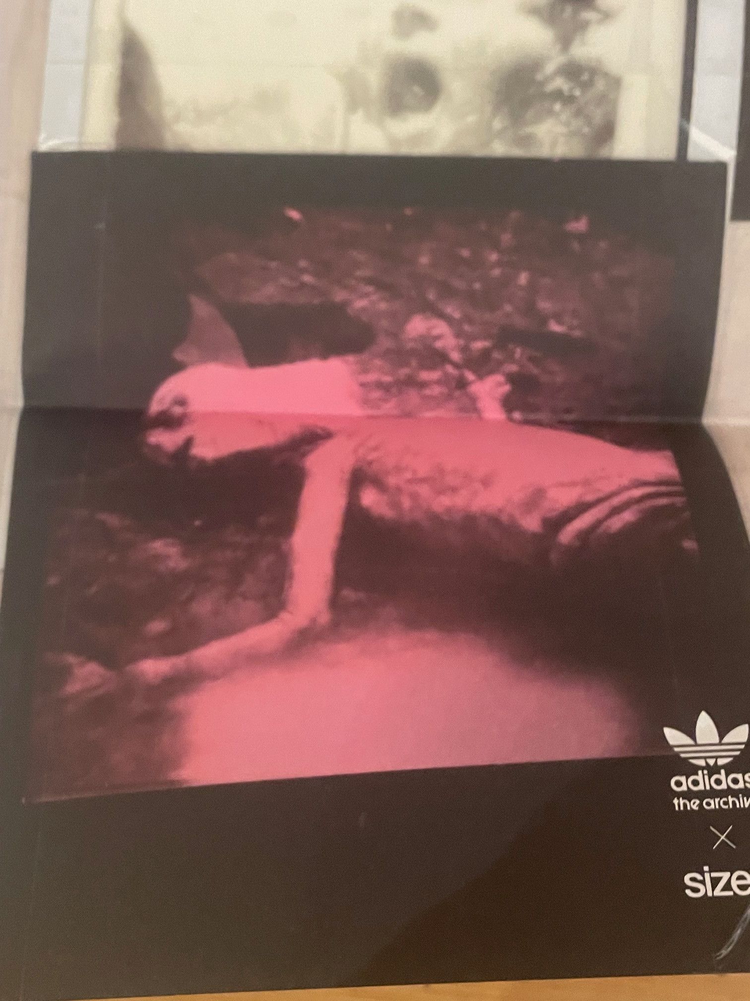 Adidas adidas originals City Series TRIMM STAR VHS poster (black) Size ONE SIZE - 3 Thumbnail