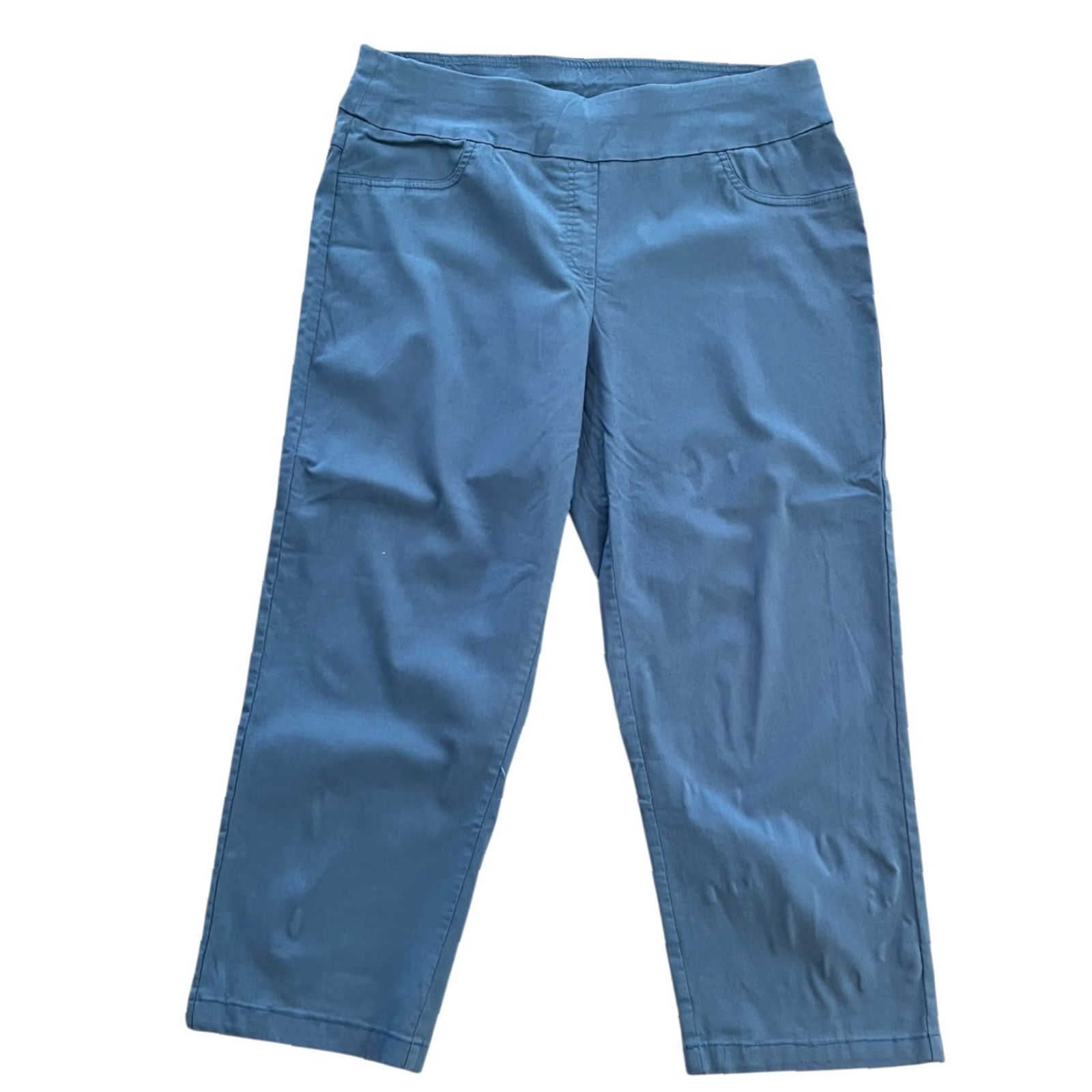Vintage Ruby Rd. Pants Women 16W Blue High Rise Chino Flat Front Pull On Skinny Rayon Size 38" / US 16 / IT 52 - 3 Thumbnail