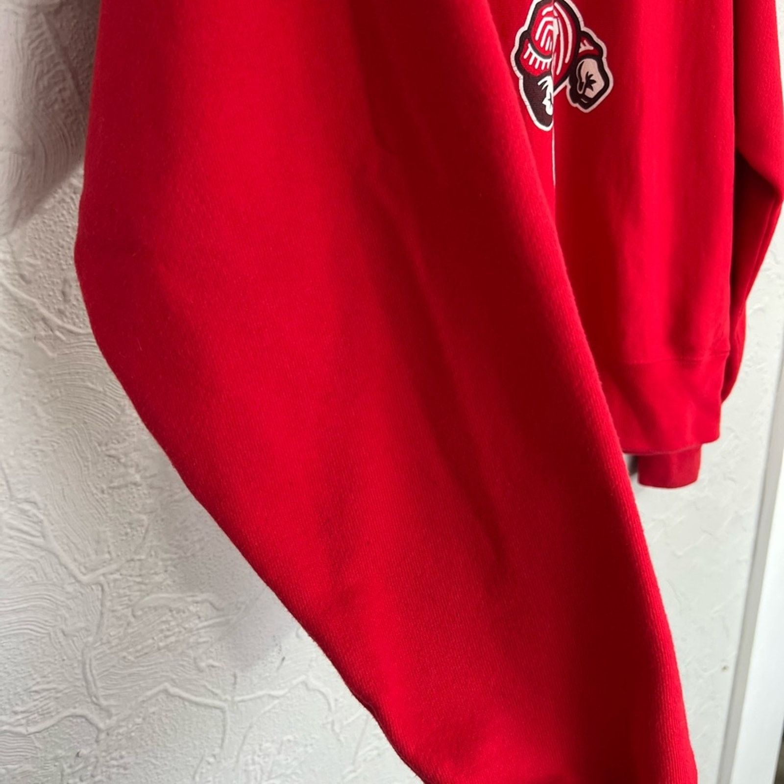 Champion VINTAGE Champion Reverse Weave Wisconsin Badgers Red Bucky Size US L / EU 52-54 / 3 - 8 Thumbnail