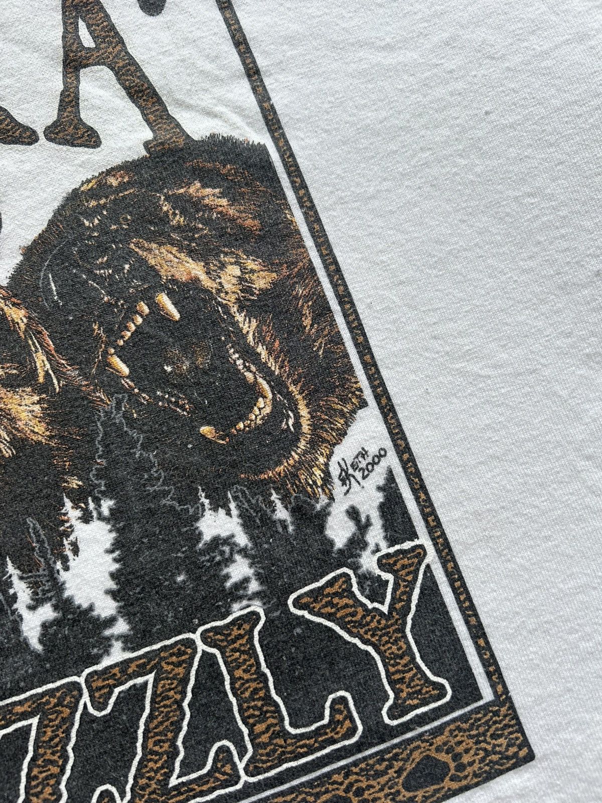 Fruit Of The Loom Vintage 2000 Alaska Grizzly Bear Graphic T-Shirt Size US L / EU 52-54 / 3 - 4 Thumbnail