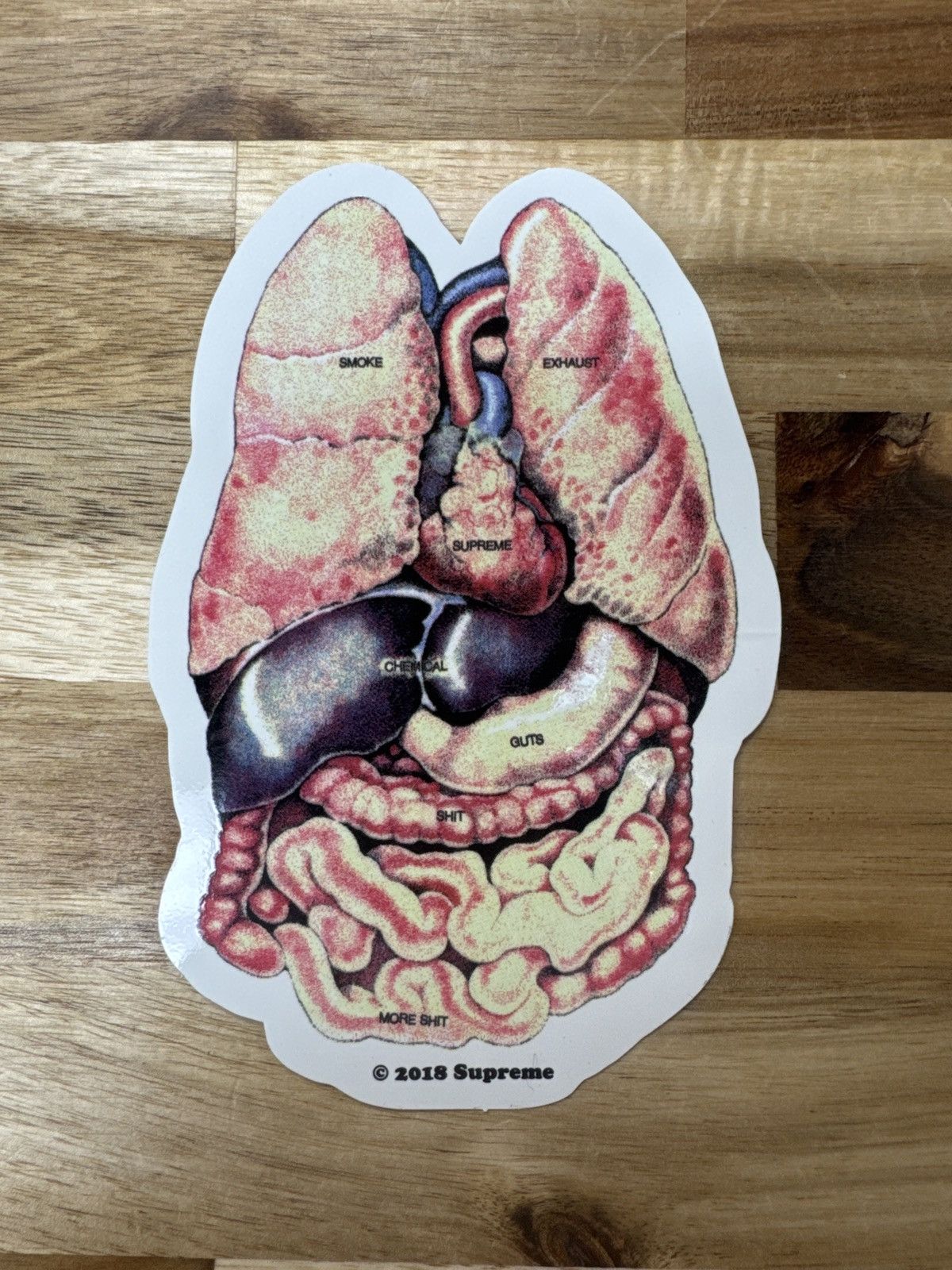 Supreme Supreme Guts Organs Sticker FW2018 Size ONE SIZE - 1 Preview