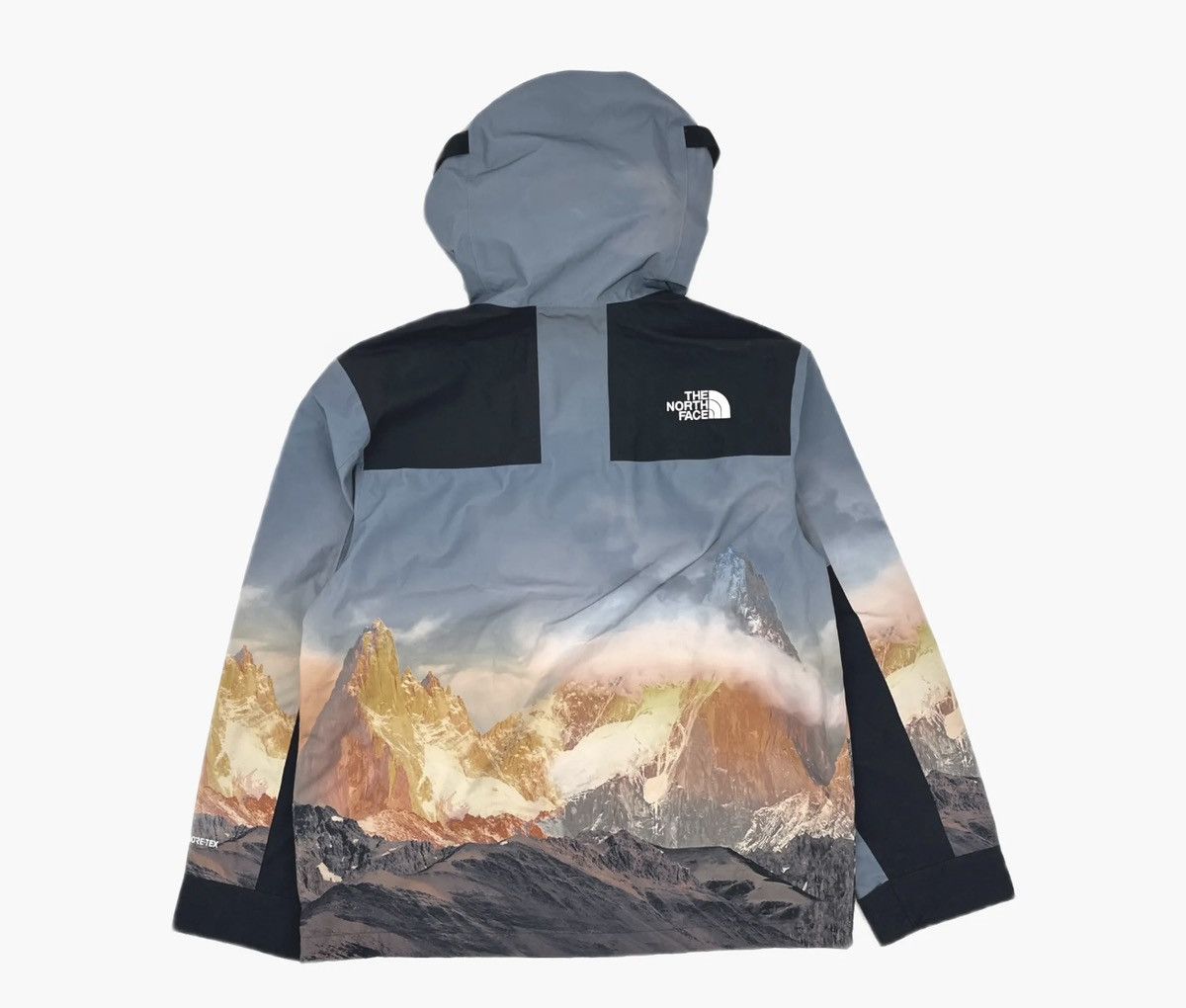 The North Face The North face tnf 1990 Gore-tex gtx mountain visa Jacket Size US XL / EU 56 / 4 - 2 Thumbnail