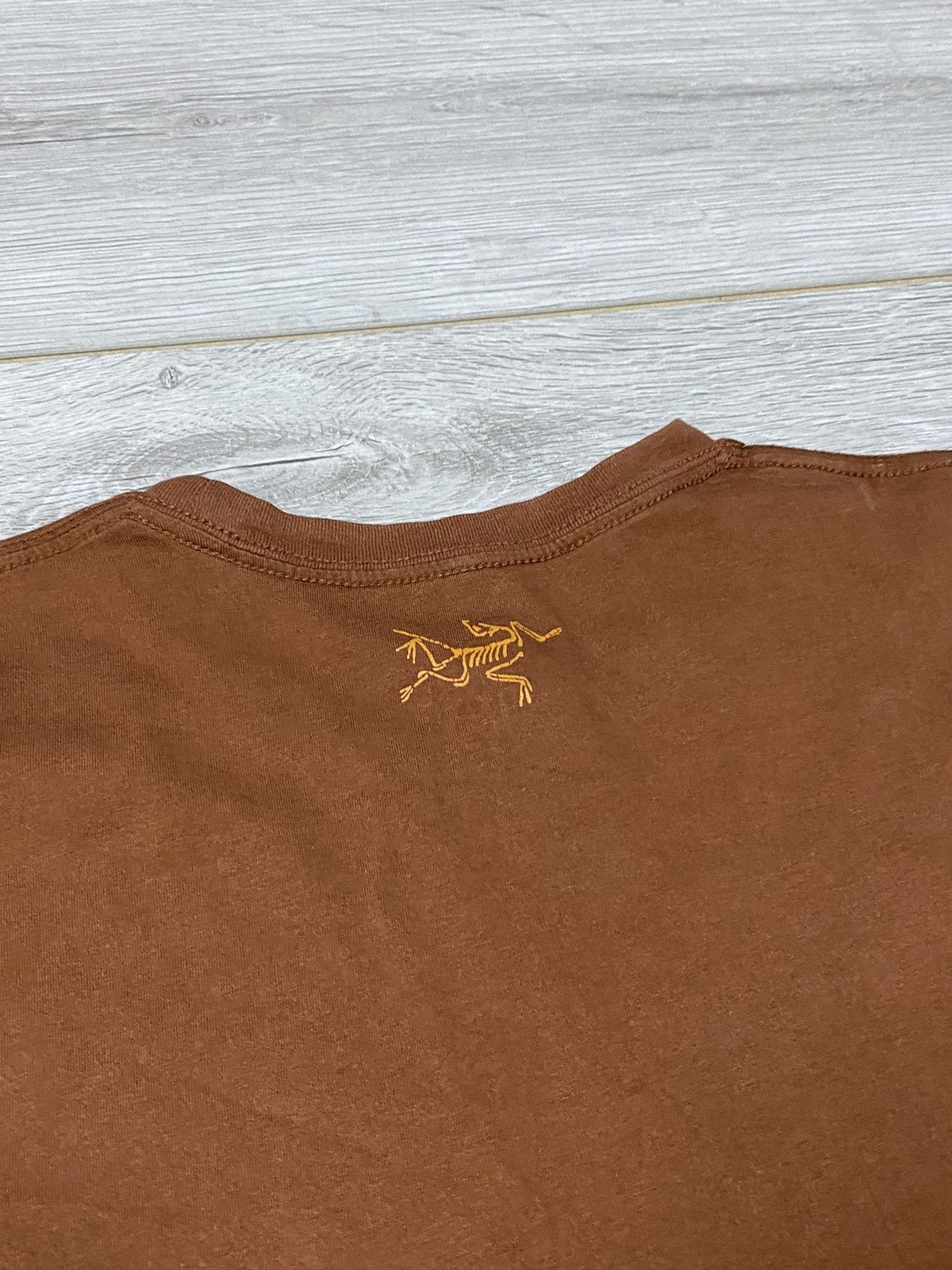 Arc'teryx Arcteryx bird vintage mountain t-shirt Size US L / EU 52-54 / 3 - 3 Thumbnail