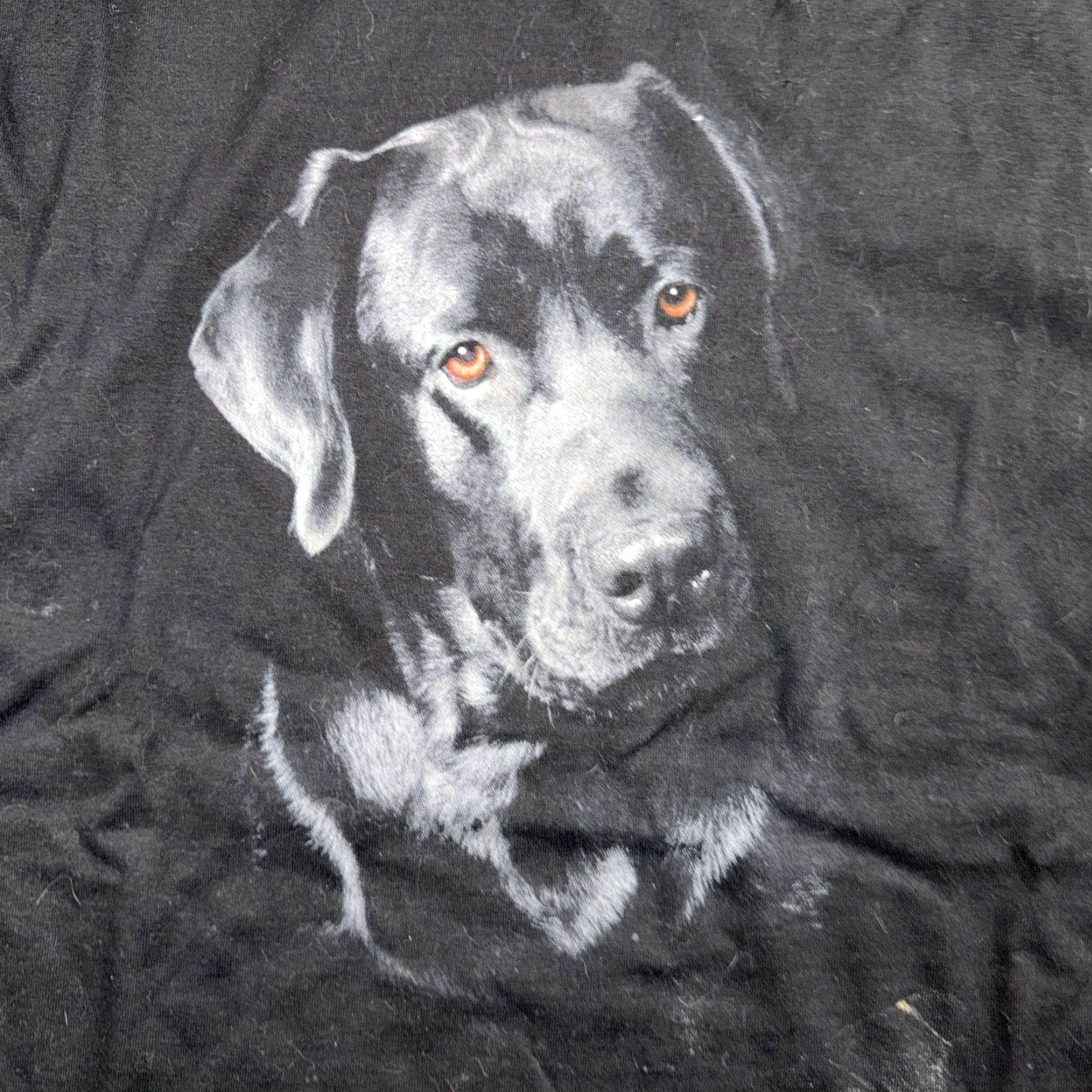 AAA VINTAGE Black T-Shirt Men 2XL AAA Cotton Graphic Print Dog 70s 80s 90s Friends Grunge Music Ducks VTG 2020-2029 Size US XXL / EU 58 / 5 - 2 Thumbnail