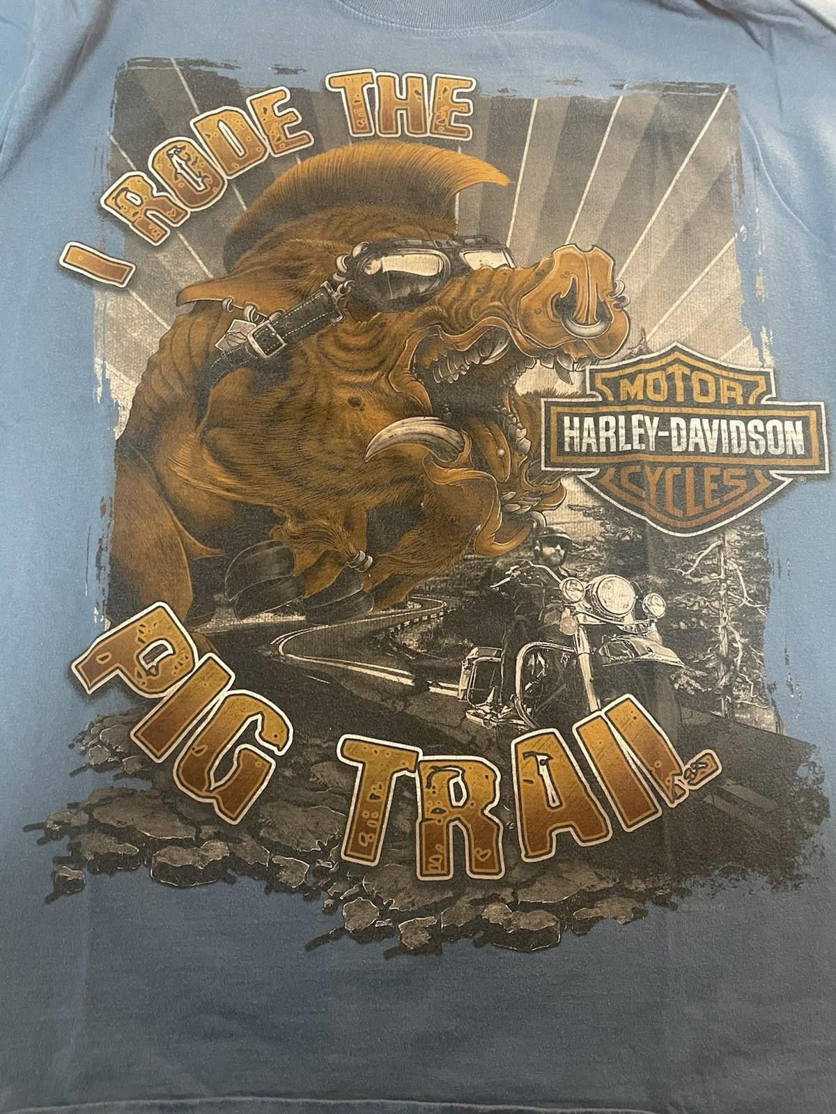 Harley Davidson Men’s HARLEY DAVIDSON Pig Trail Arkansas Blue T-shirt Sz L Size US L / EU 52-54 / 3 - 2 Thumbnail