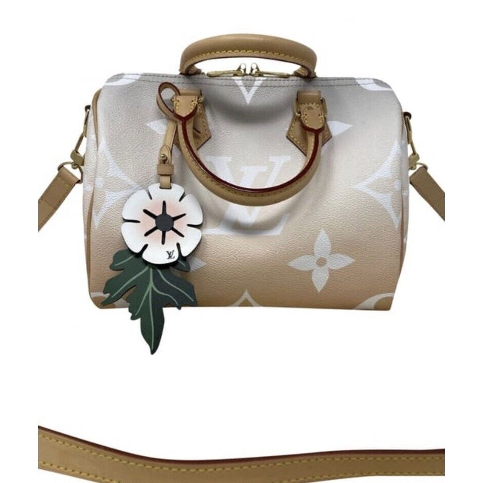 Louis Vuitton Louis Vuitton Speedy 25 Bandouliere Summer By The Pool Mist Size ONE SIZE - 1 Thumbnail