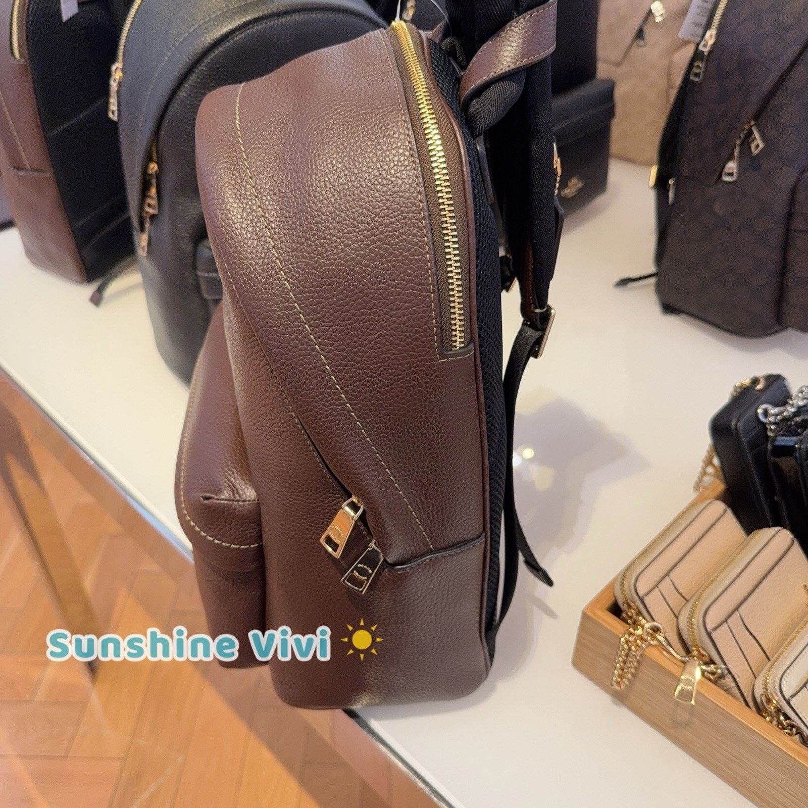 Coach NWT Coach Taylor Small Backpack In Leather CDW78 Gold/Maple Size ONE SIZE - 3 Thumbnail