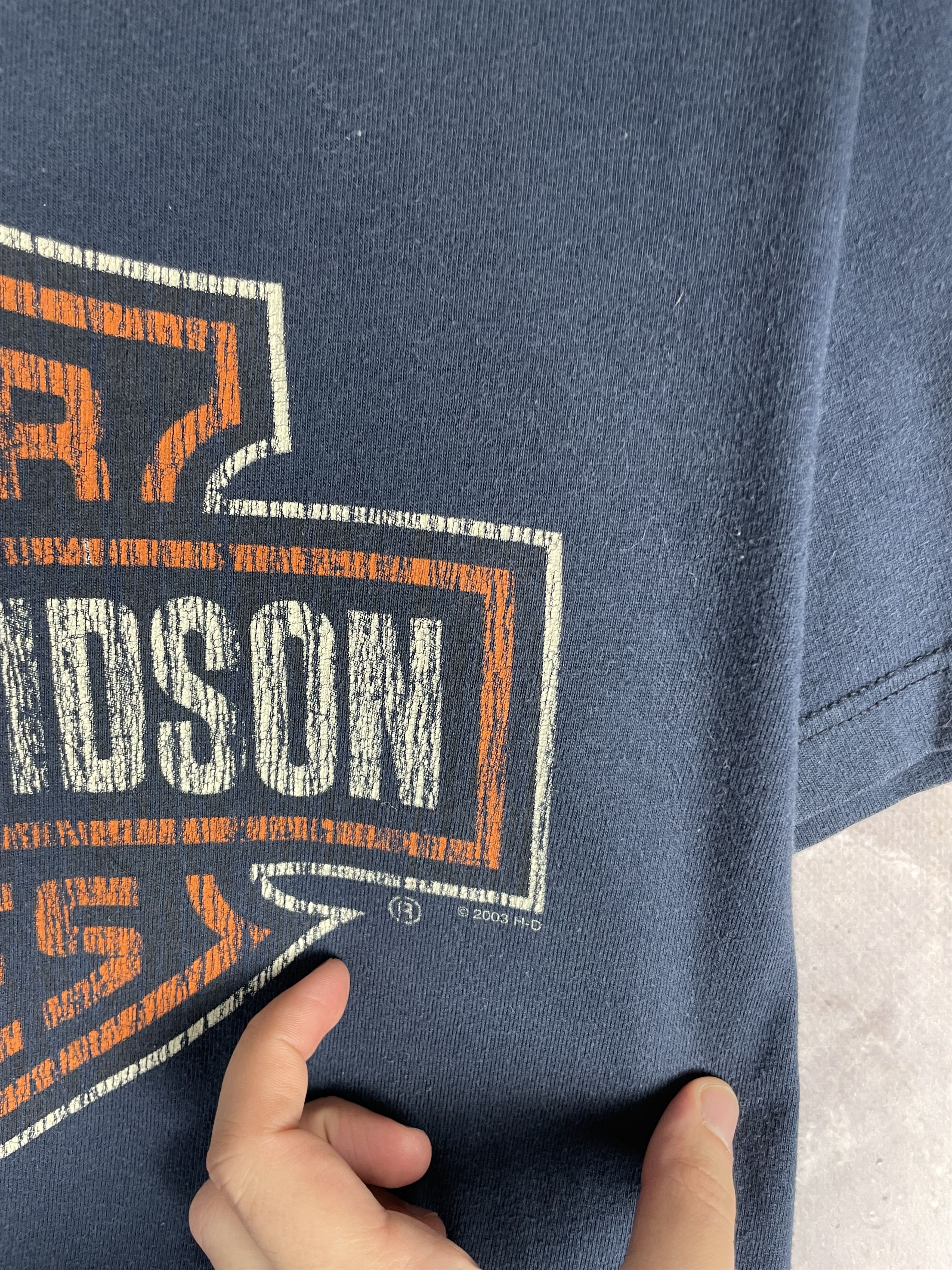 Harley Davidson Vintage Harley Davidson T-Shirt Size US M / EU 48-50 / 2 - 4 Thumbnail