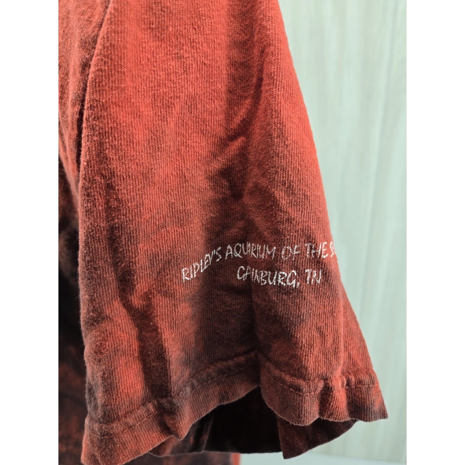 The Mountain VINTAGE The Mountain Dino T Shirt Men’s Red Tye Die Riplys Aquarium TN Smokies Large Size US L / EU 52-54 / 3 - 6 Thumbnail