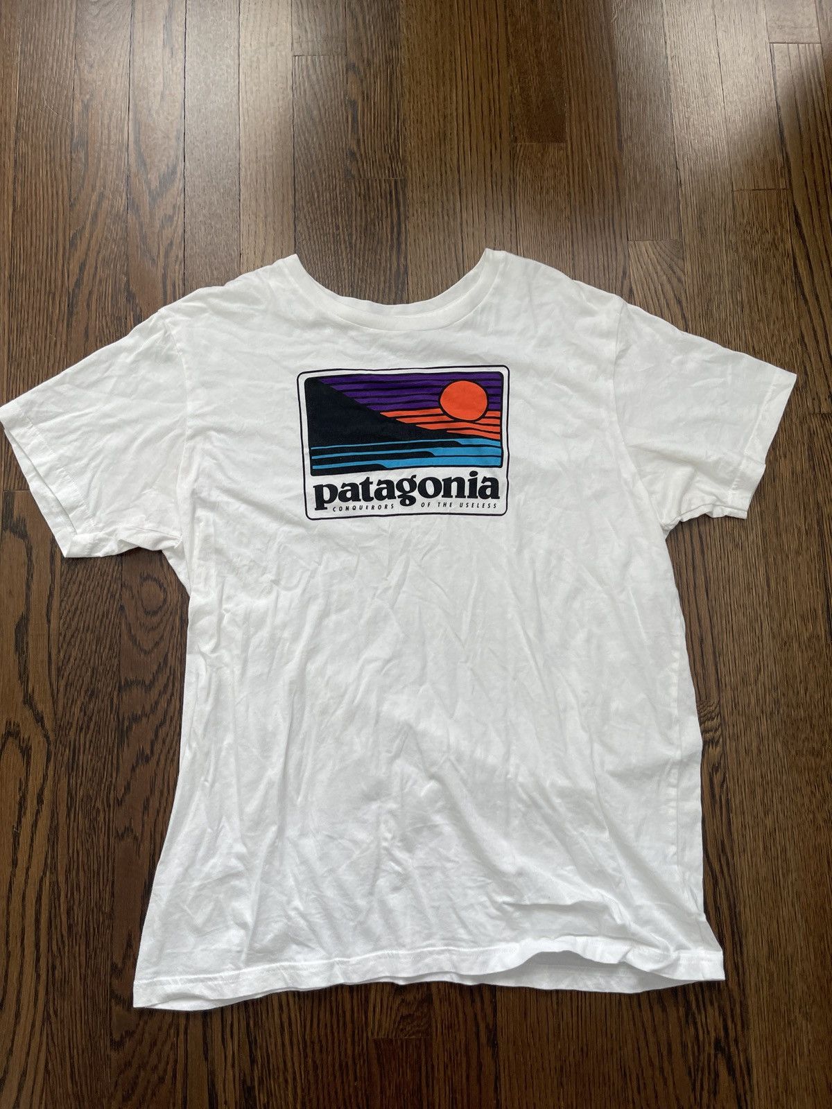 Patagonia Patagonia tee shirt size medium Size US L / EU 52-54 / 3 - 1 Thumbnail