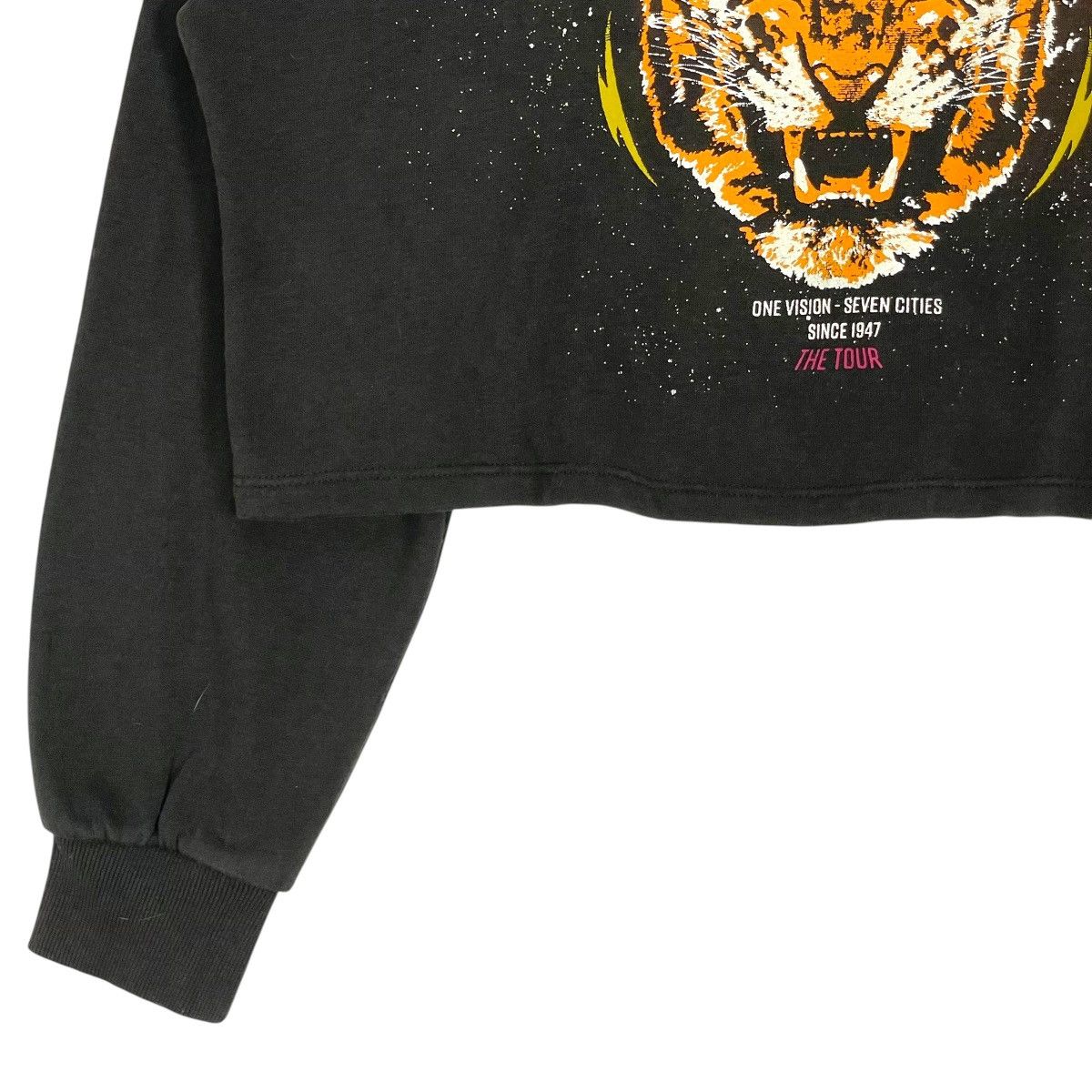 Band Tees Vintage Desolate Tour Band Tee Rock Cropped Sweatshirt Size M / US 6-8 / IT 42-44 - 4 Thumbnail