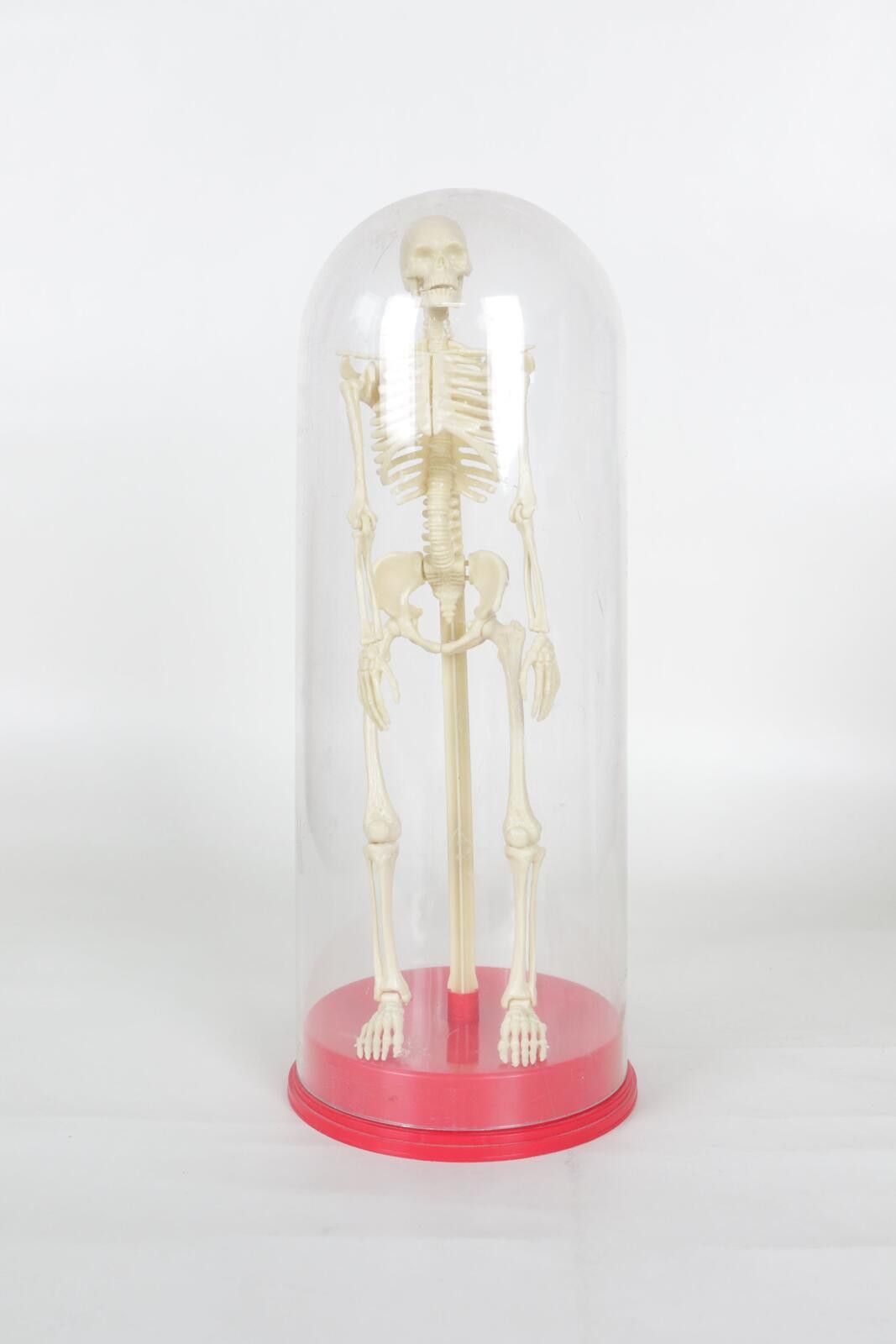 Genetic Manipulation Shinichiro Kuriya 1991' Human Skeleton Model Size ONE SIZE - 1 Thumbnail
