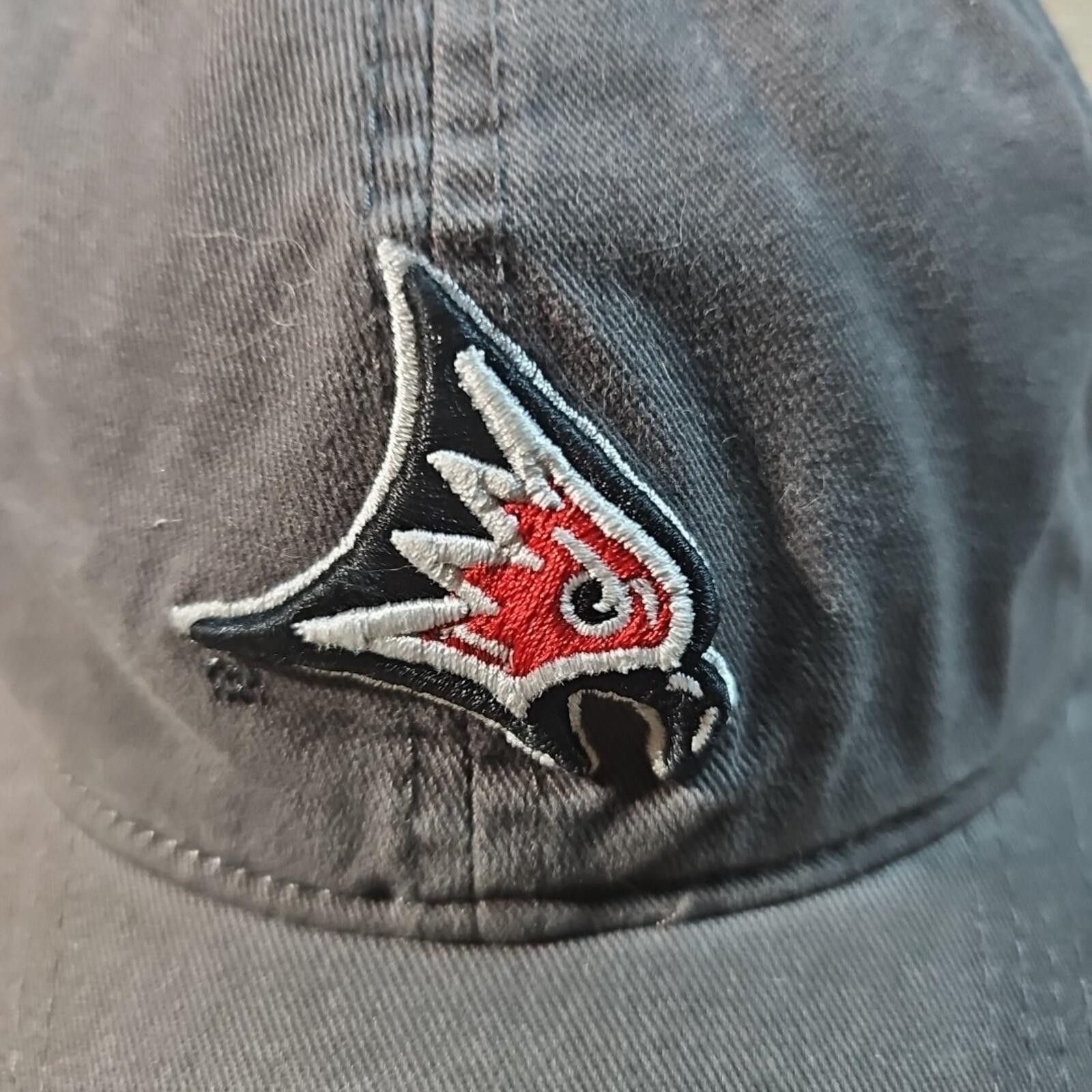 Other Fall Rush We Are Campus Strapback Hat Size ONE SIZE - 4 Thumbnail