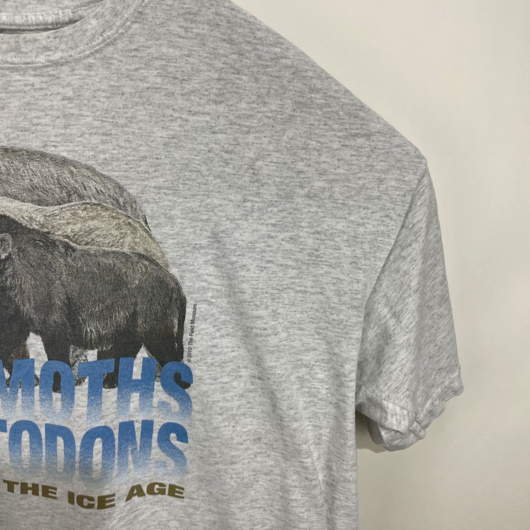 Vintage VINTAGE The Field Museum Mammoths And Mastodons Titans Of The Ice Age T Shirt XL Mens Gray Cotton Short Sleeve Crew Neck Graphic Print Logo DCT Size US XL / EU 56 / 4 - 5 Thumbnail