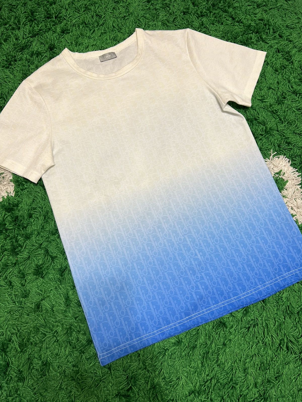 Dior Oblique Gradient