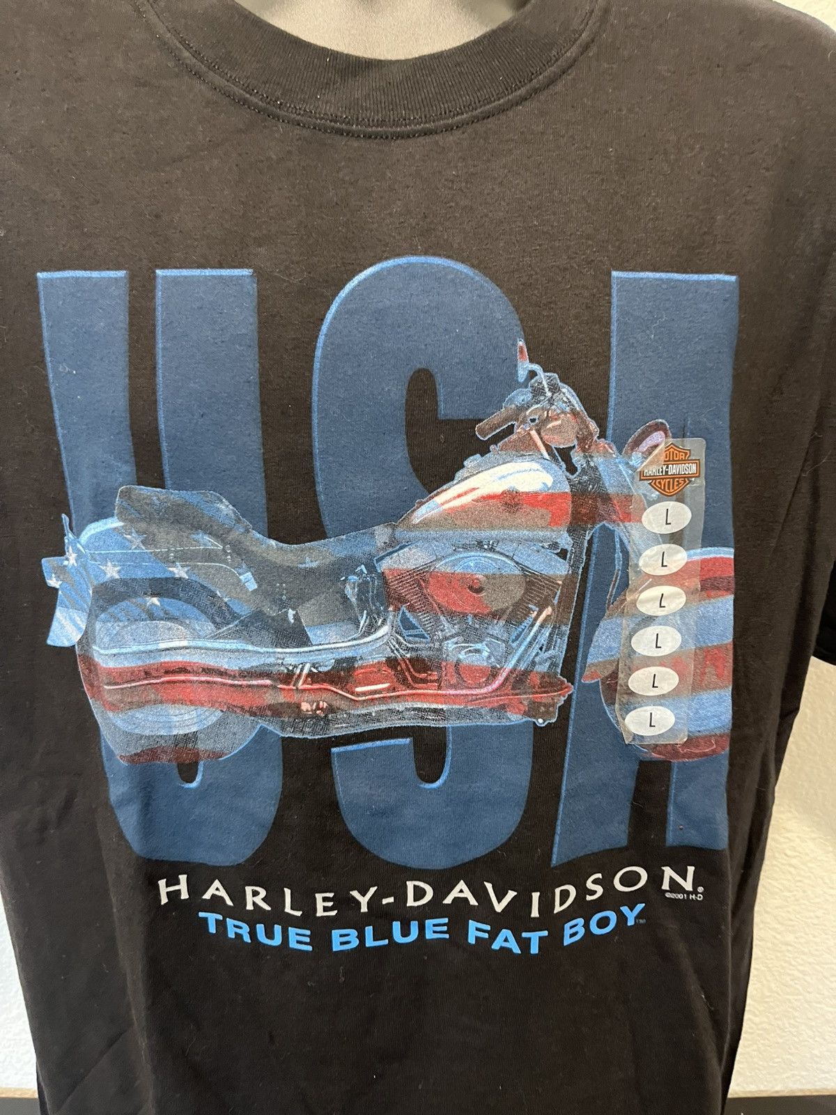Harley Davidson Y2K Harley Davidson Illinois shirt Size US L / EU 52-54 / 3 - 3 Thumbnail