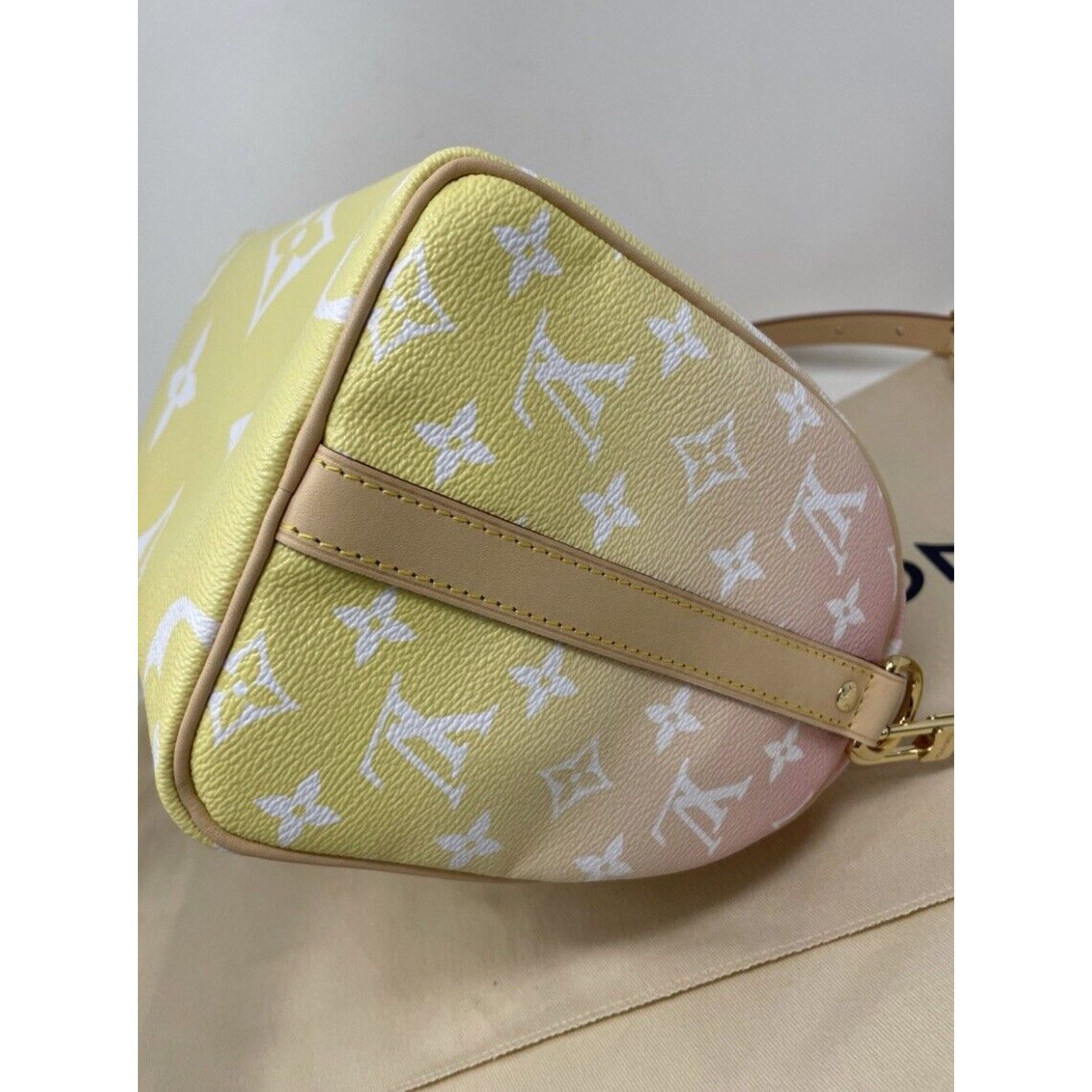 Louis Vuitton Louis Vuitton Speedy Bandoulier 25 Bag By The Pool Monogram Size ONE SIZE - 7 Thumbnail