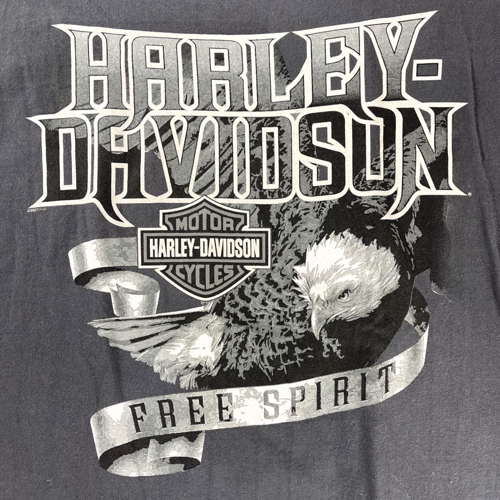 Harley Davidson Harley-Davidson L T-Shirt Men Gray Elvis Graphic Y2K USA Memphis Tennessee Graceland Skull Vintage Size US L / EU 52-54 / 3 - 7 Thumbnail