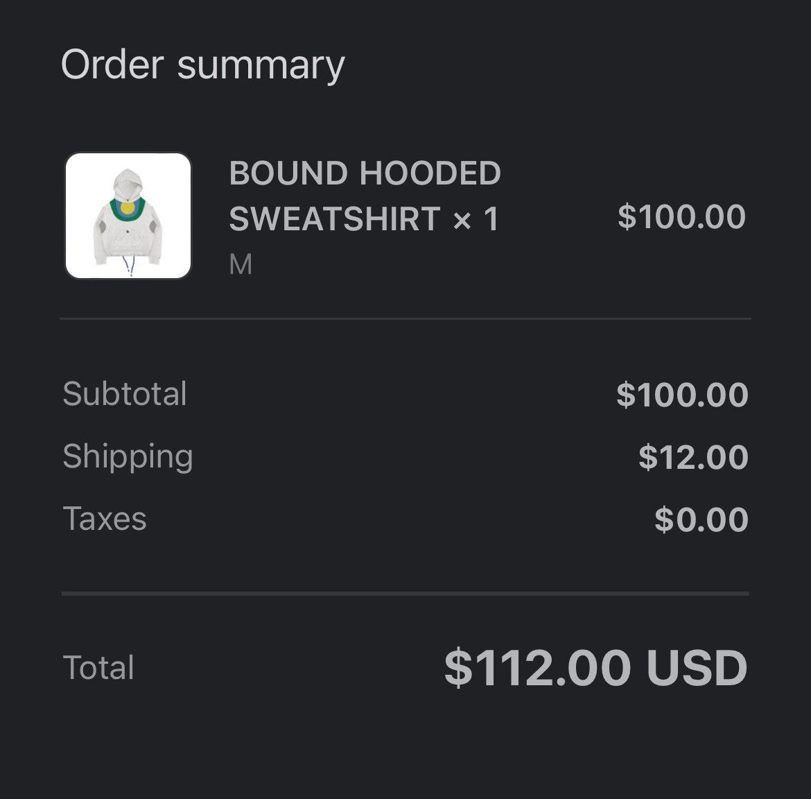 Bad Son Badson Bound Hoodie Size US M / EU 48-50 / 2 - 4 Thumbnail