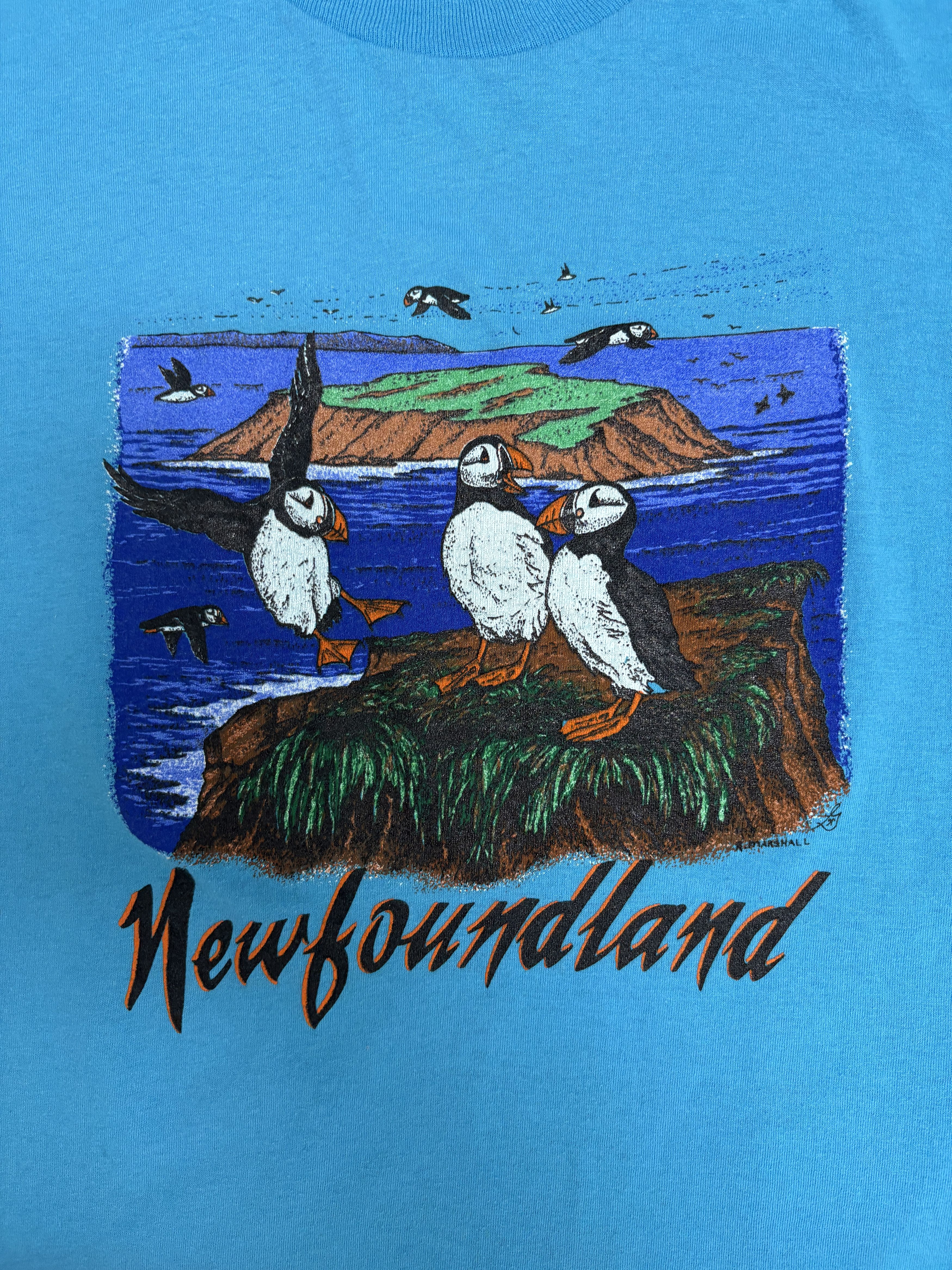 Vintage Newfoundland Atlantic Puffin Tourist Vintage Blue T-Shirt Size US L / EU 52-54 / 3 - 2 Thumbnail