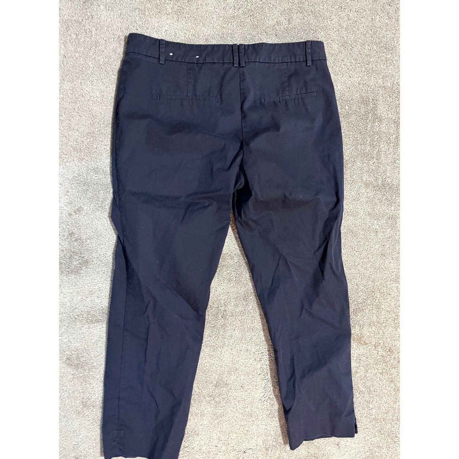 Ann Taylor Ann Taylor Loft Pants Adult 8 Blue Twill Stretch Cropped Classic Preppy Business Casual Womens Size 30" / US 8 / IT 44 - 3 Thumbnail