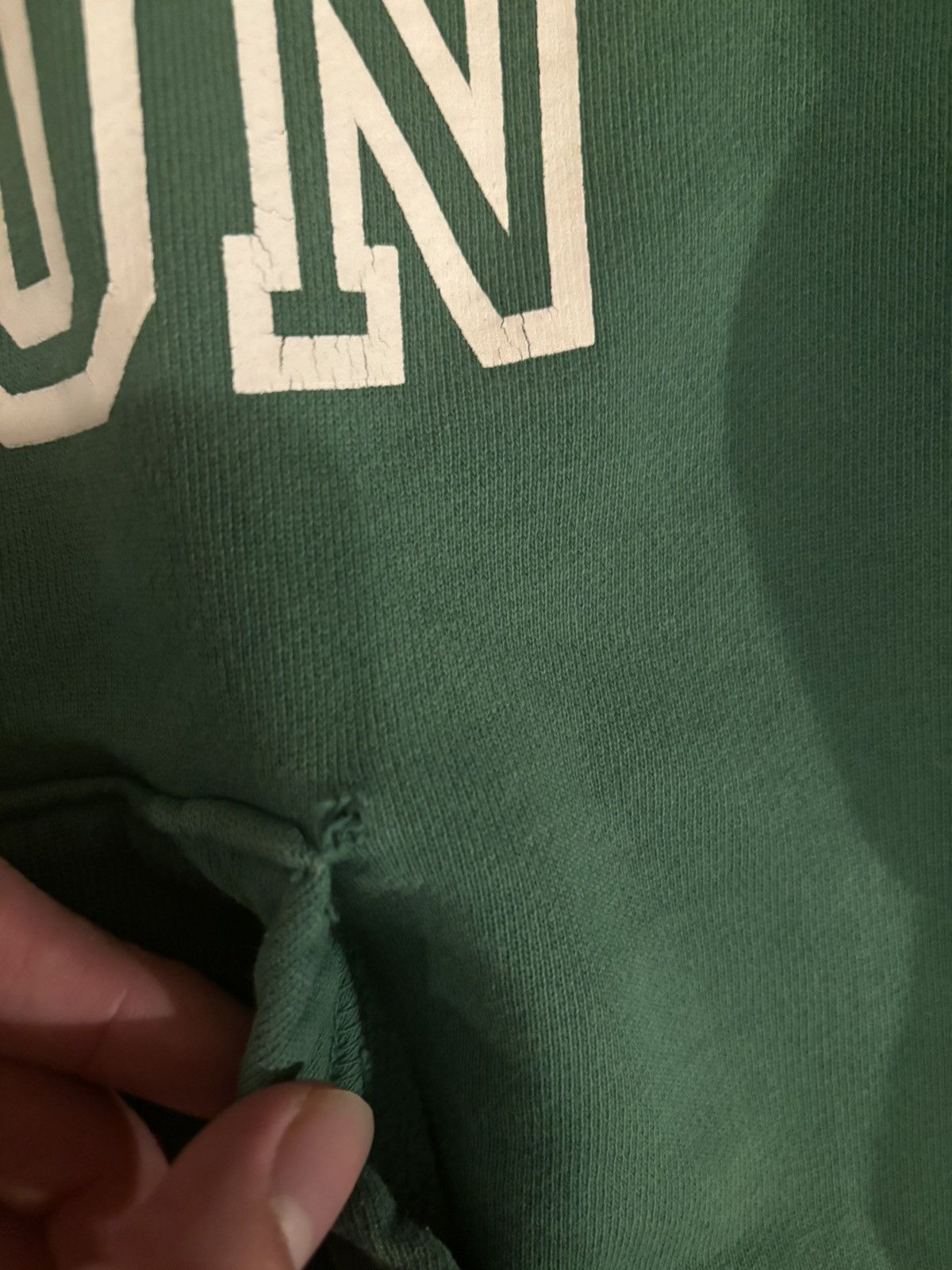 Strawberry Mansion Hoodie