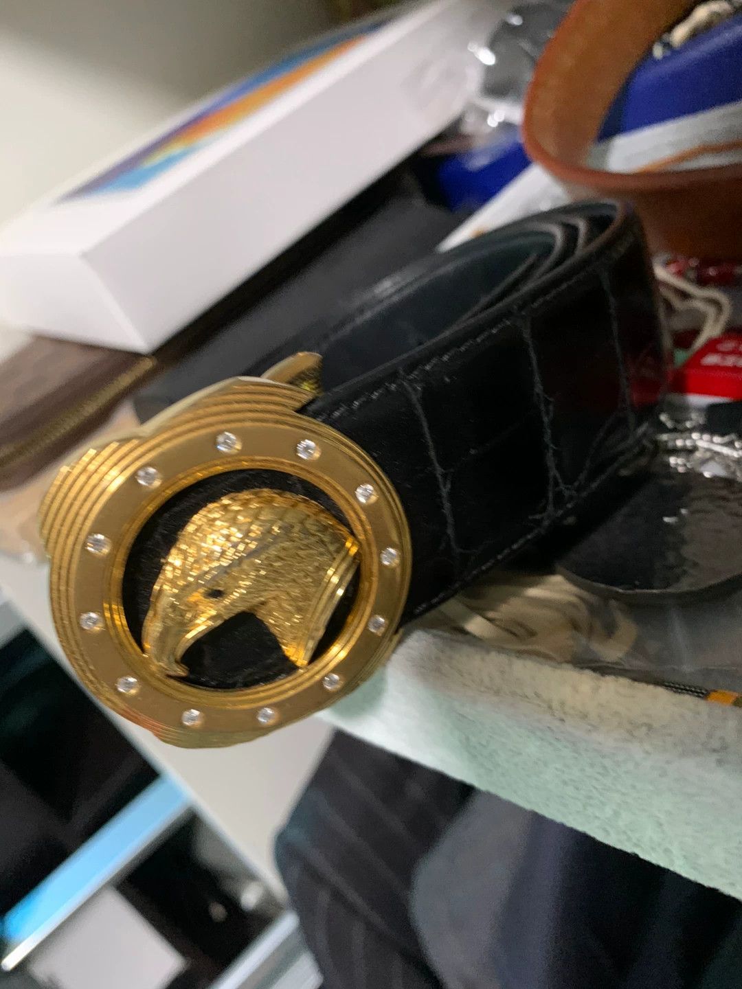 Stefano Ricci stefano ricci eagle head belt in black Size ONE SIZE - 1 Thumbnail
