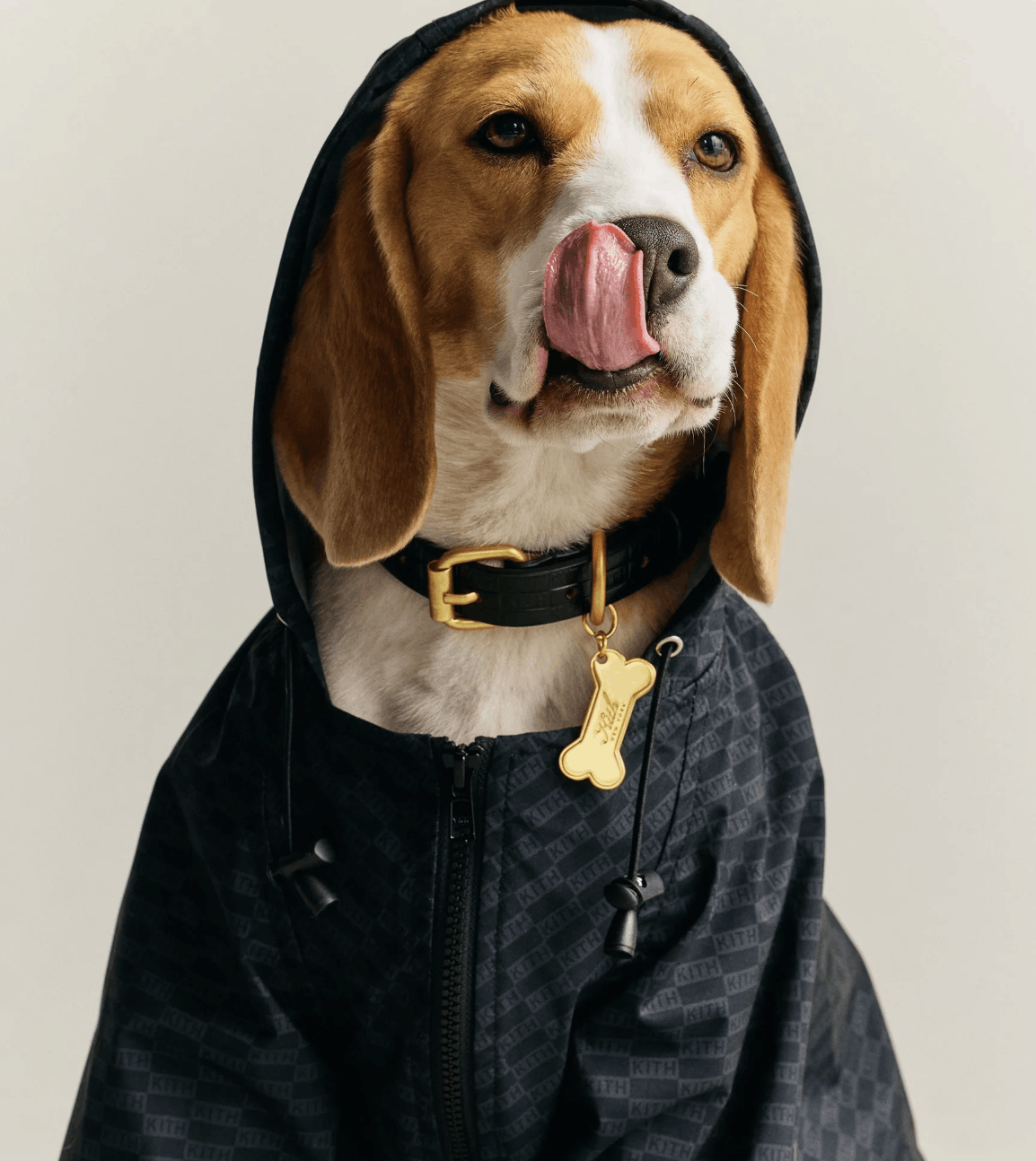 Kith (size L) Kith for wagwear Nylon Rainbreaker - Black Size ONE SIZE - 7 Thumbnail