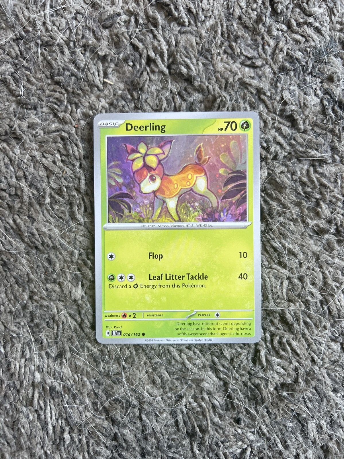 Pokemon 2024 Pokémon Deerling Basic Card Size ONE SIZE - 1 Thumbnail