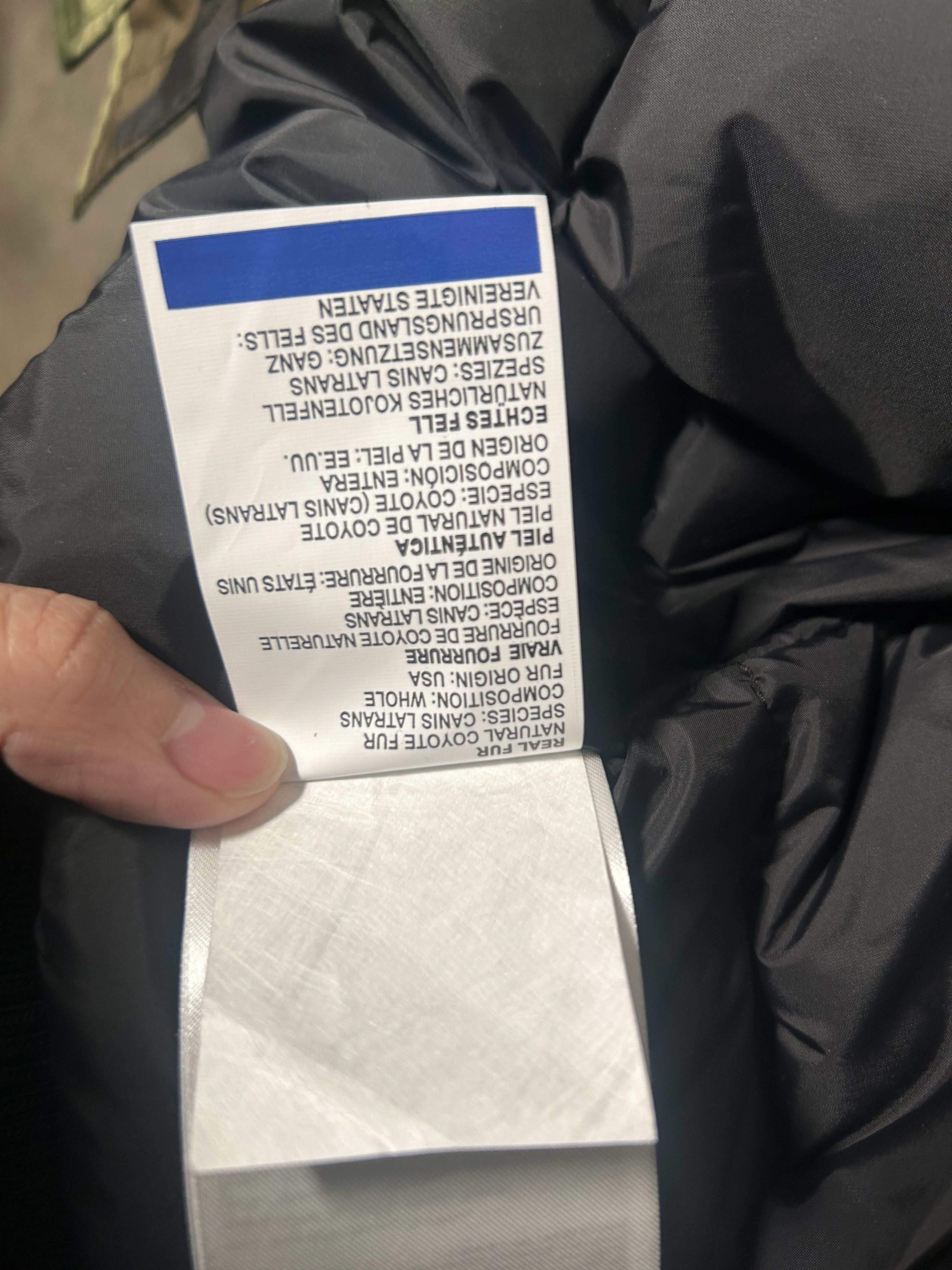 Canada Goose New Canada Goose Chilliwack Bomber Jacket Size US XS / EU 42 / 0 - 12 Thumbnail