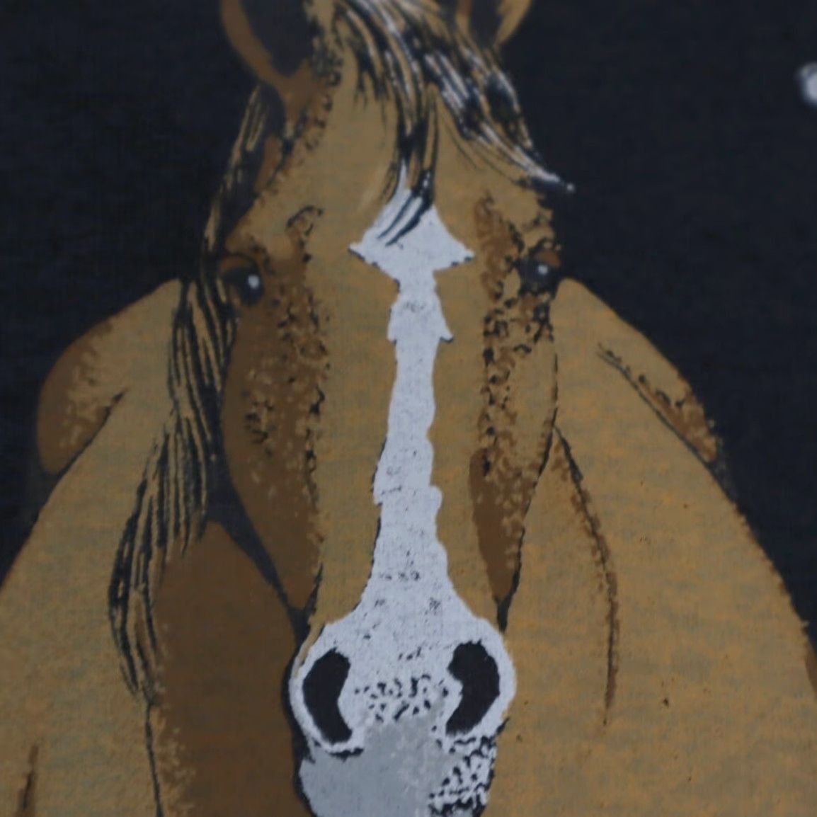 Fruit Of The Loom Fruit of the Loom Horse Double Sided Graphic Solid T-Shirt Black Men's M Size US M / EU 48-50 / 2 - 6 Thumbnail