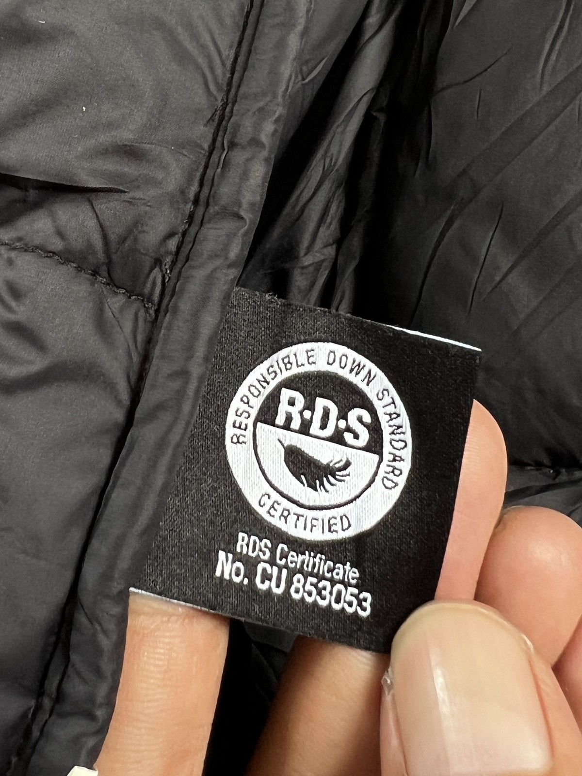 The North Face The North Face Dryvent Puffer Down Jacket Size US M / EU 48-50 / 2 - 24 Thumbnail