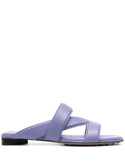 o1loc1c0324 651374 Mules in Purple